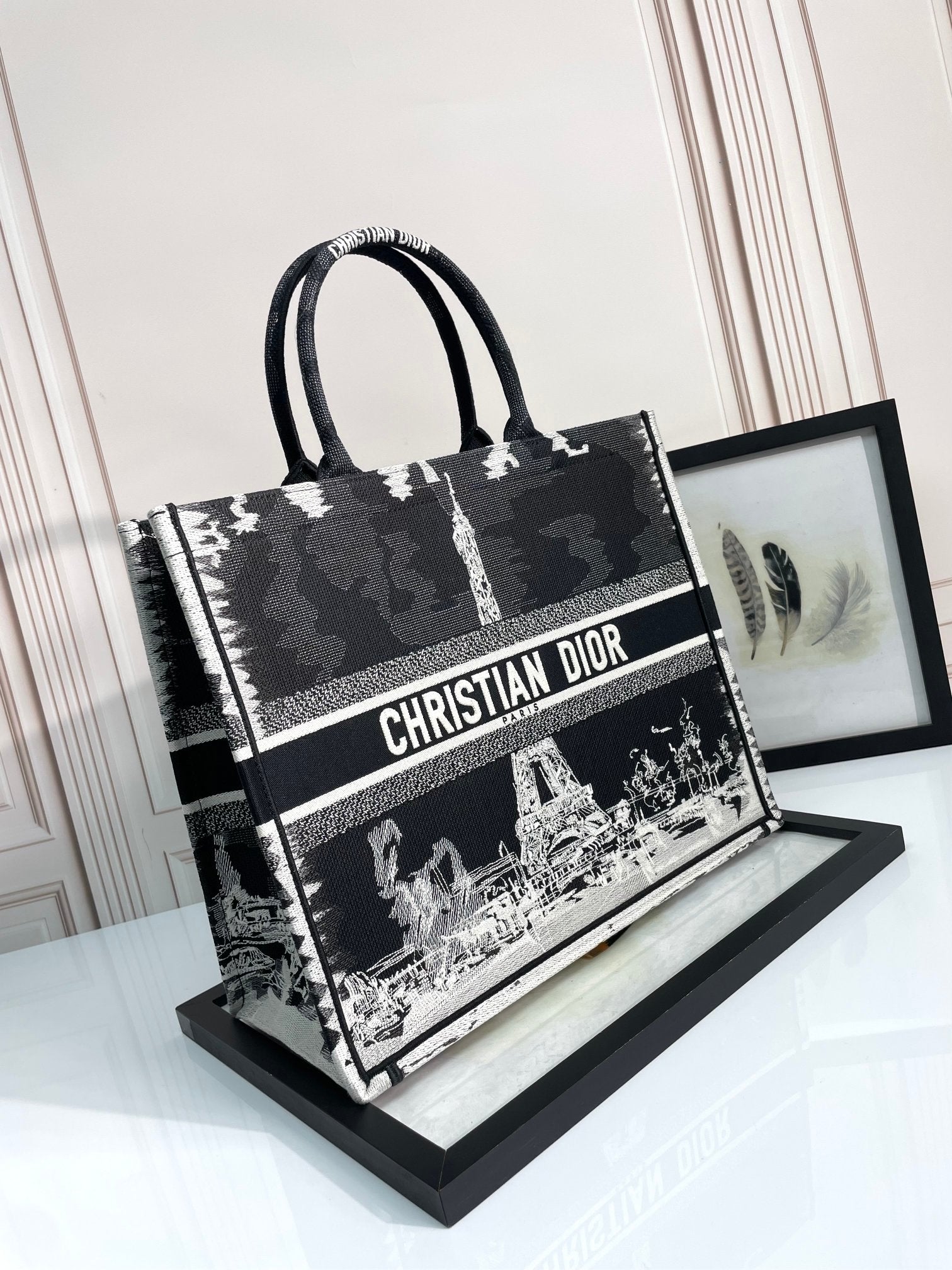 Christian Dior Large Book Tote Bag Black and White Paris Eiffel Tower Embroidery