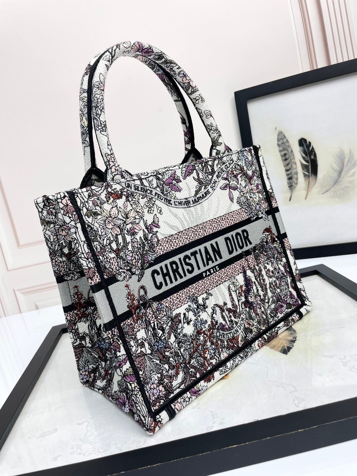Christian Dior Medium Book Tote - Grey and Black Toile de Jouy Embroidered Canvas