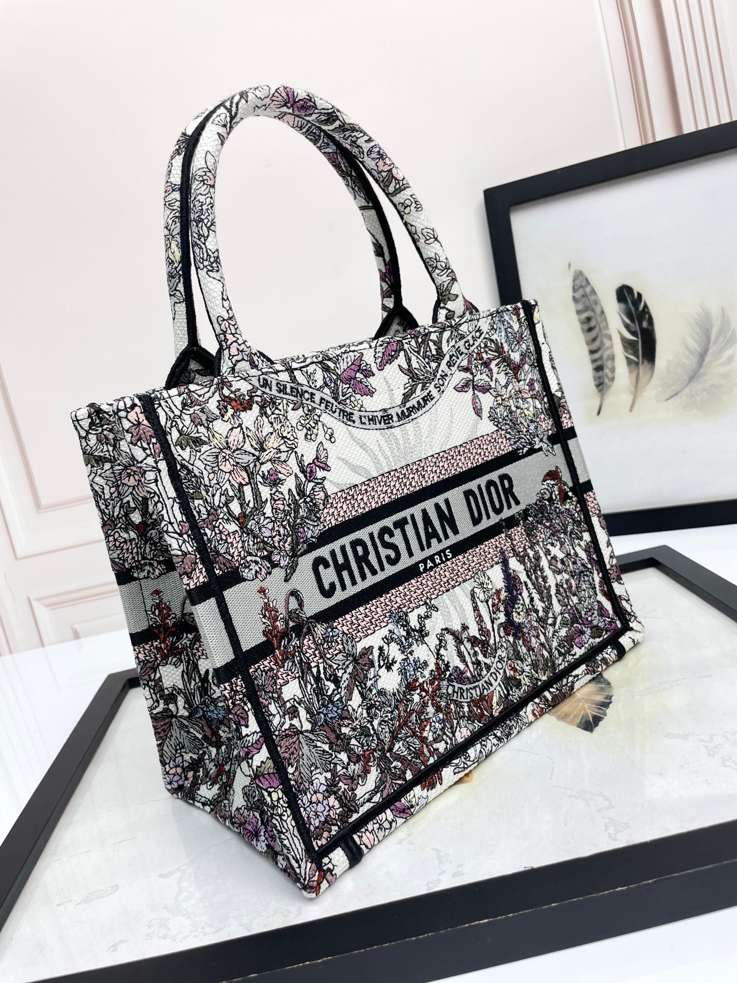 Christian Dior Medium Book Tote - Grey and Black Toile de Jouy Embroidered Canvas