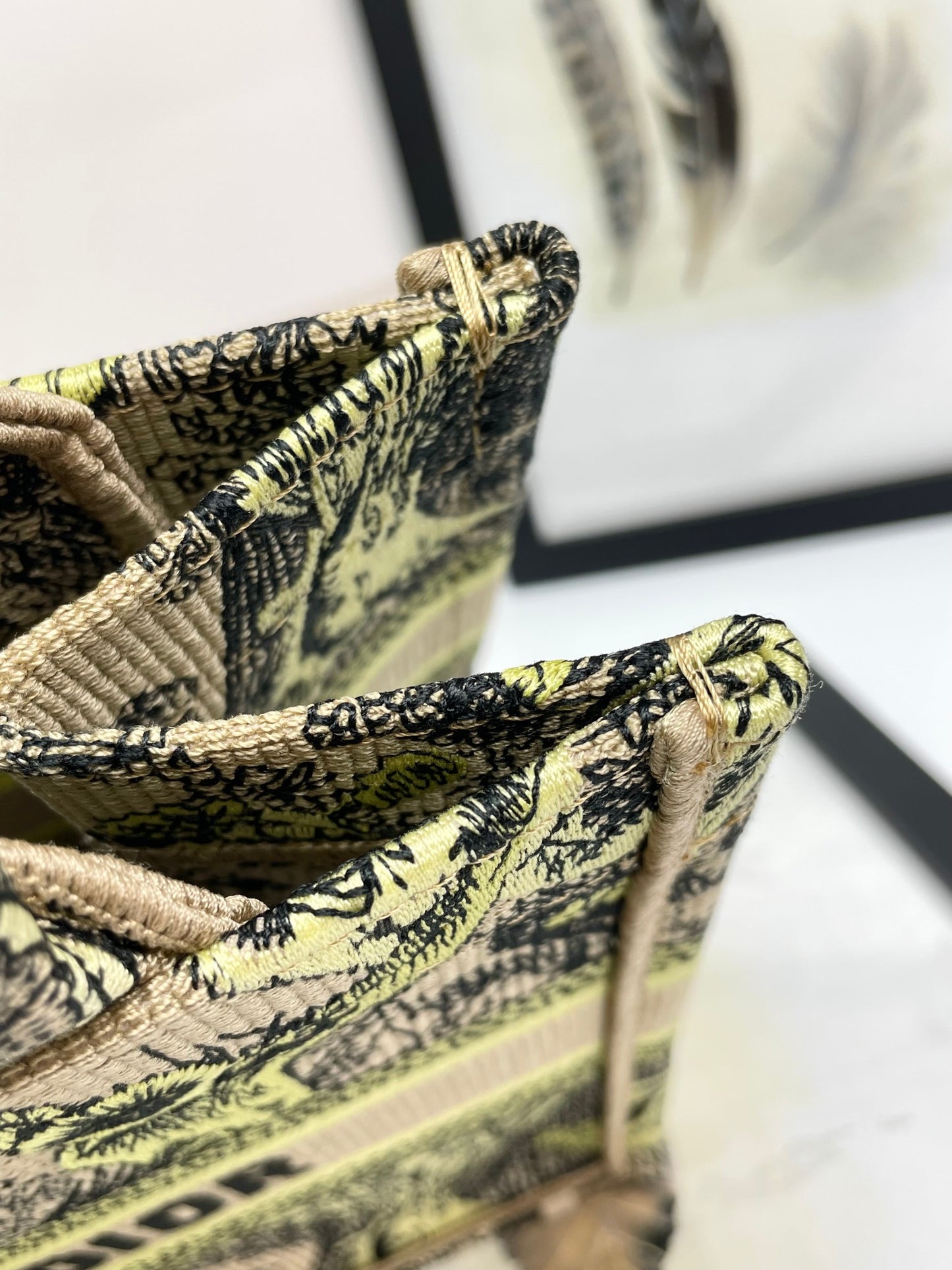 Christian Dior Medium Book Tote Bag Toile de Jouy Reverse Tiger Embroidery