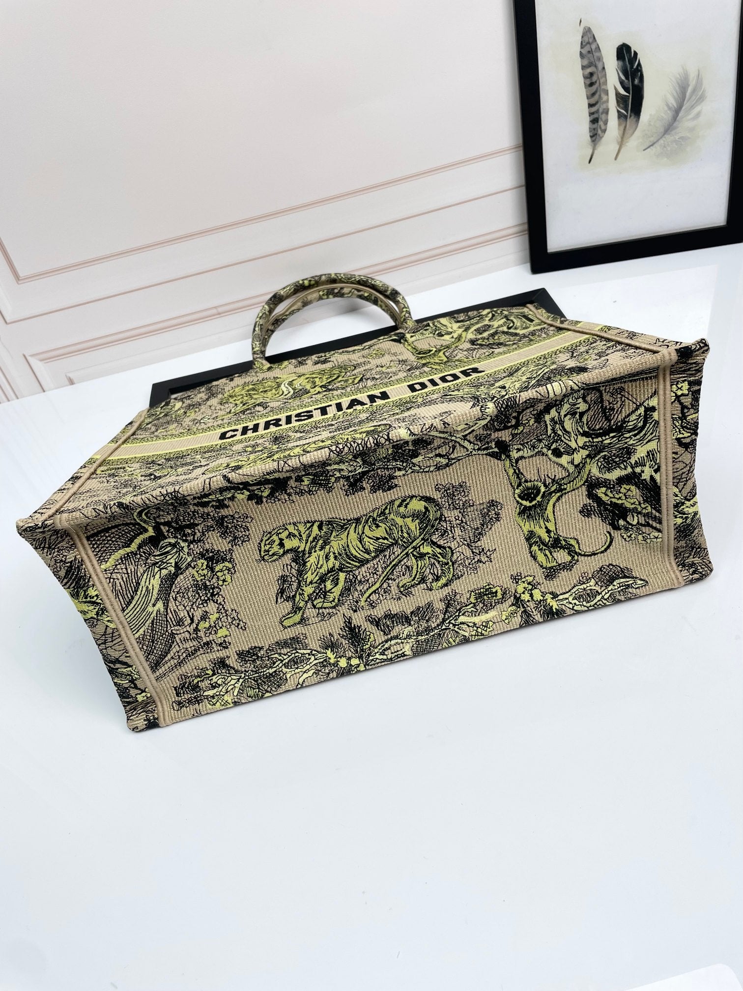 Christian Dior Large Book Tote Bag in Embroidered Canvas