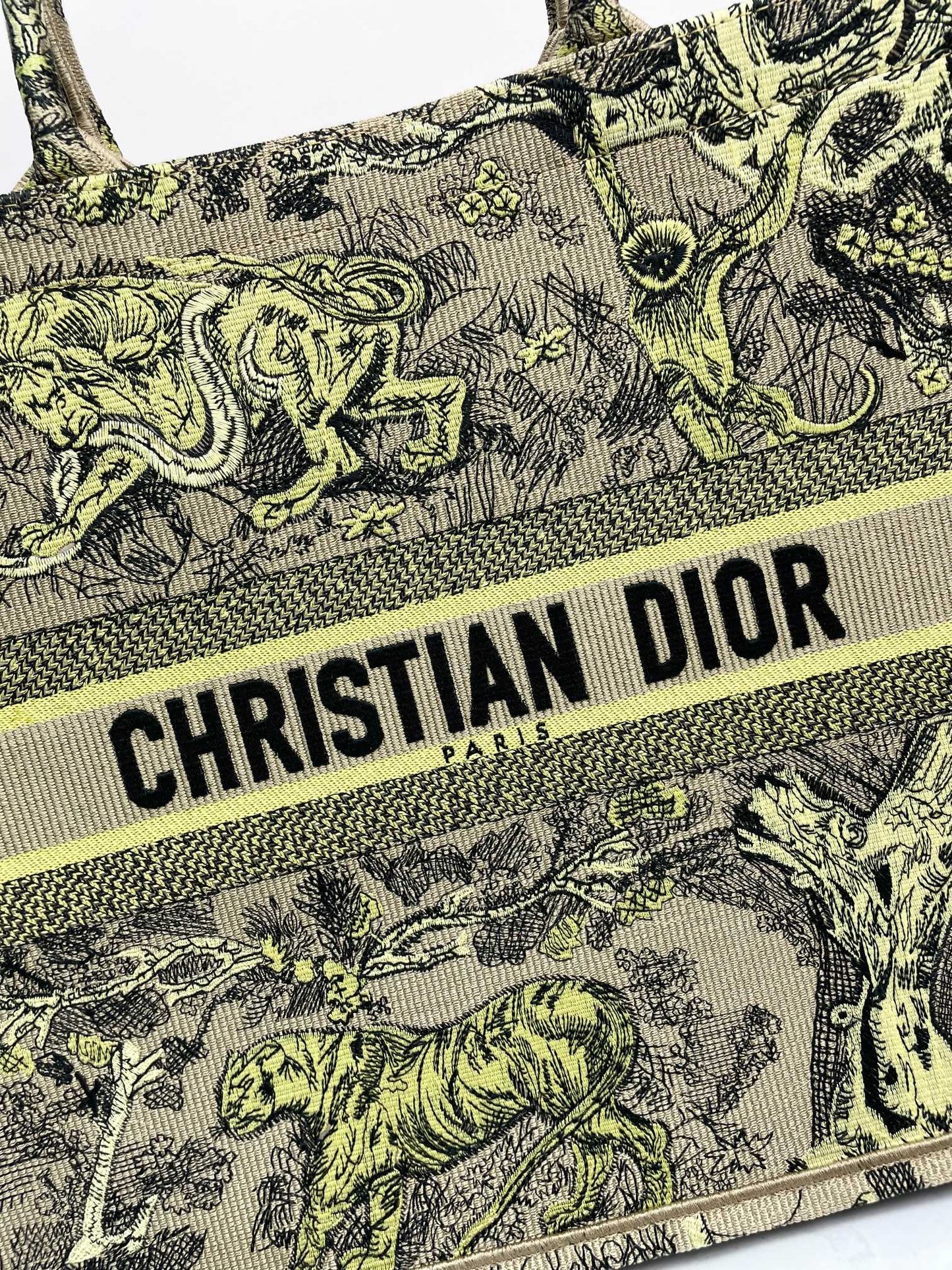 Christian Dior Large Book Tote Bag in Embroidered Canvas