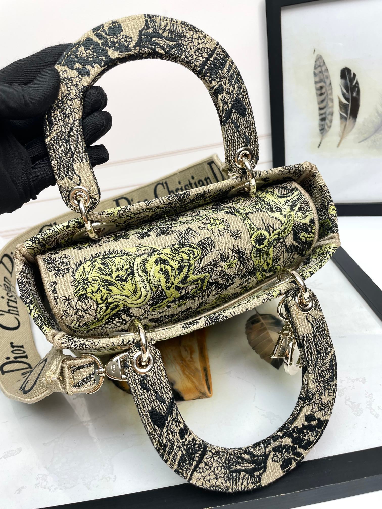 Christian Dior Lady D-Lite Embroidered Handbag with Shoulder Strap - Green & Beige