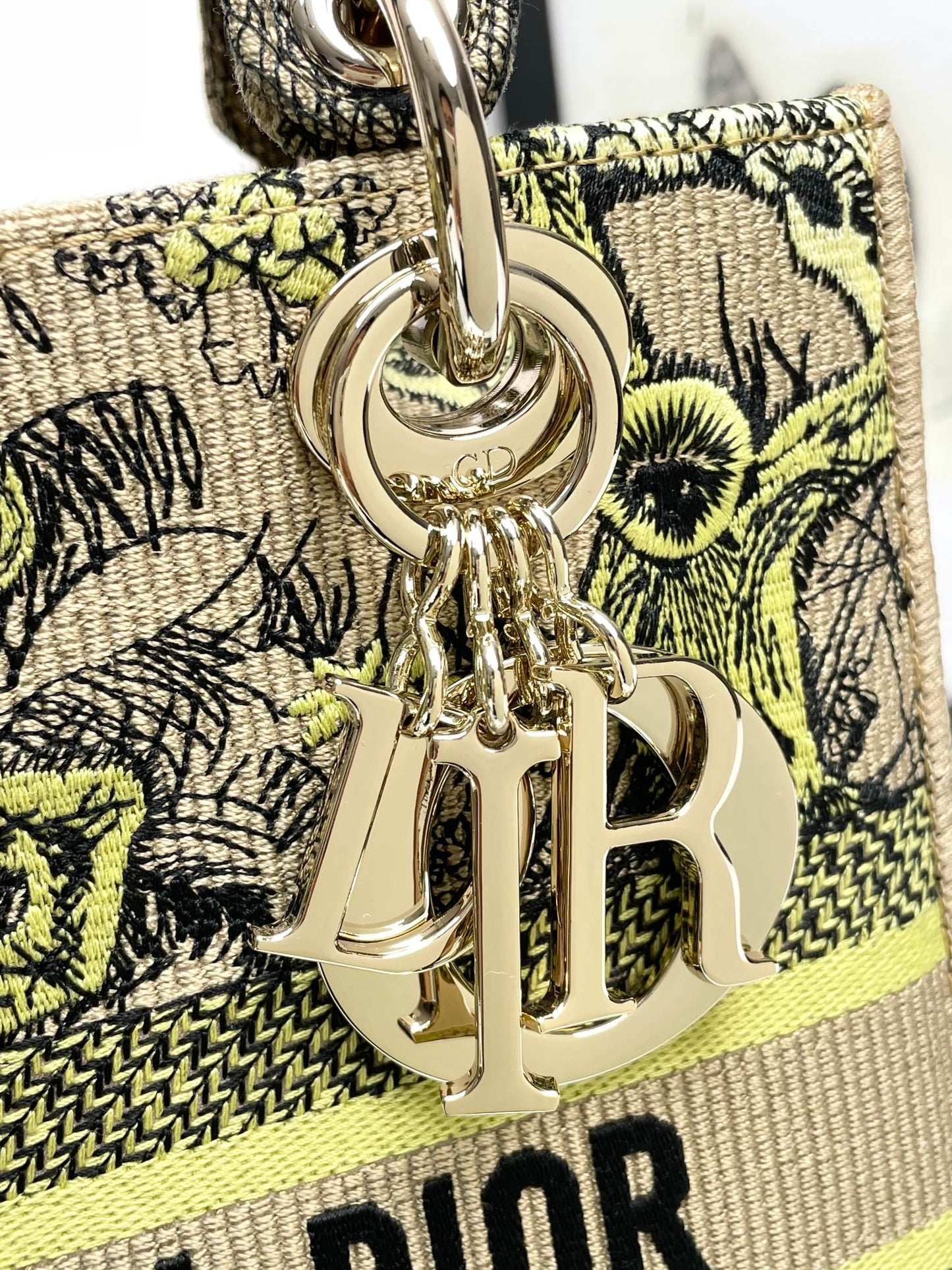 Christian Dior Lady D-Lite Embroidered Handbag with Shoulder Strap - Green & Beige