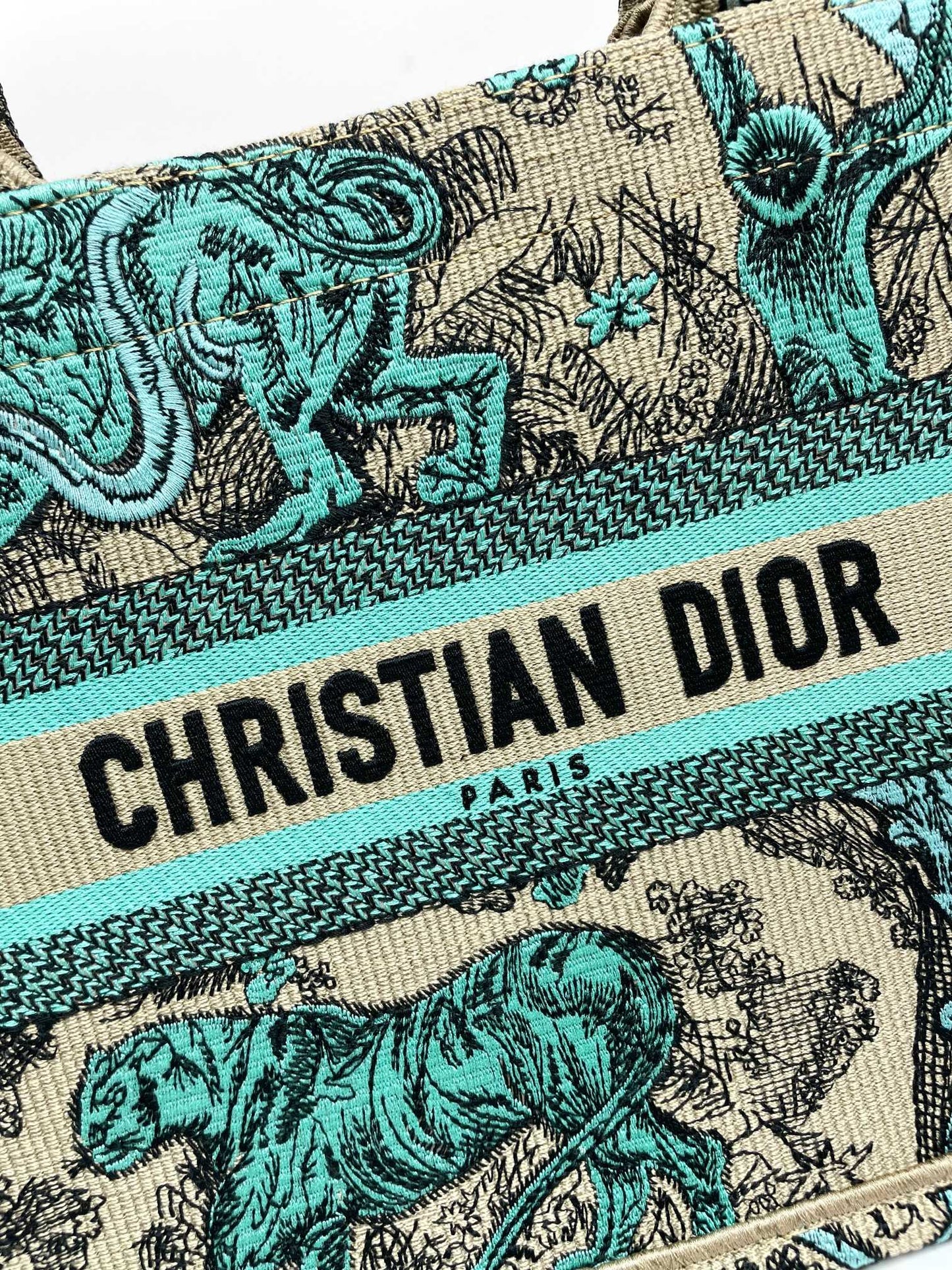Christian Dior Medium Book Tote Toile de Jouy Reverse Canvas Green & Beige