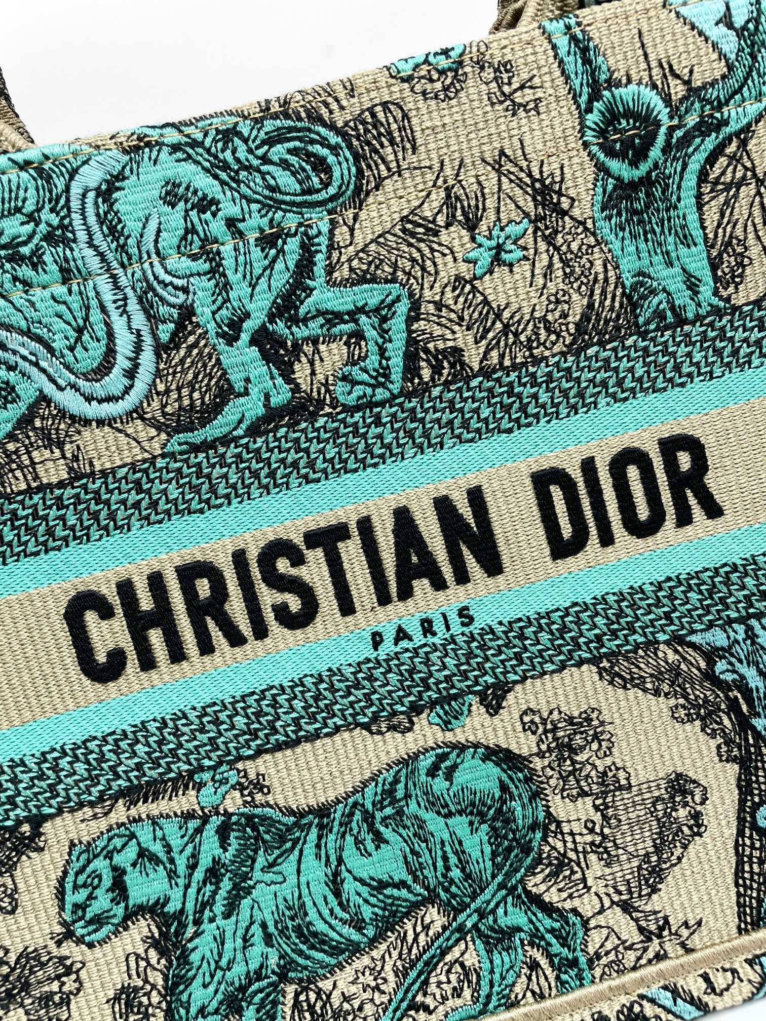 Christian Dior Medium Book Tote Toile de Jouy Reverse Canvas Green & Beige
