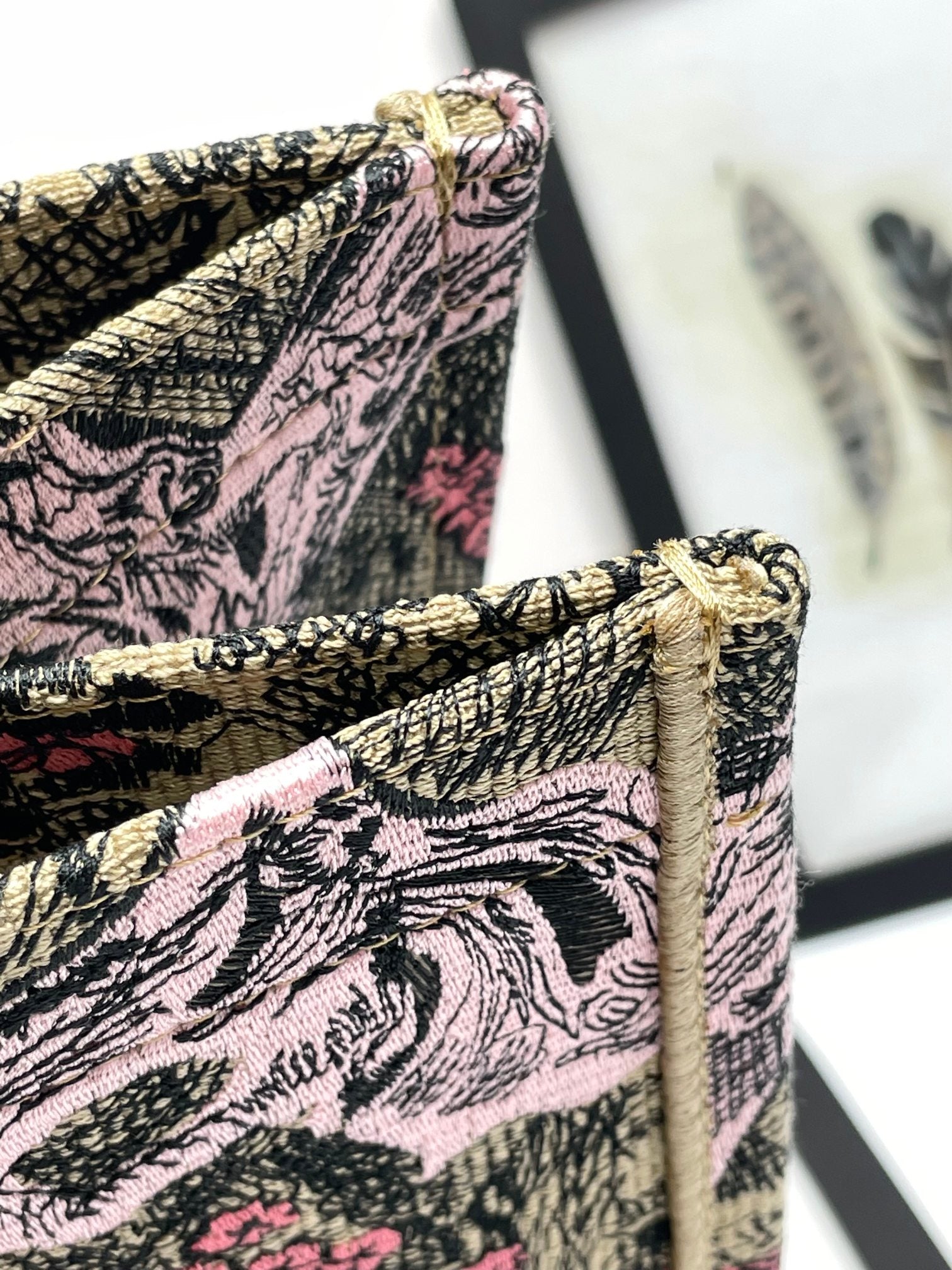 Christian Dior Medium Book Tote - Pink Toile de Jouy Embroidery