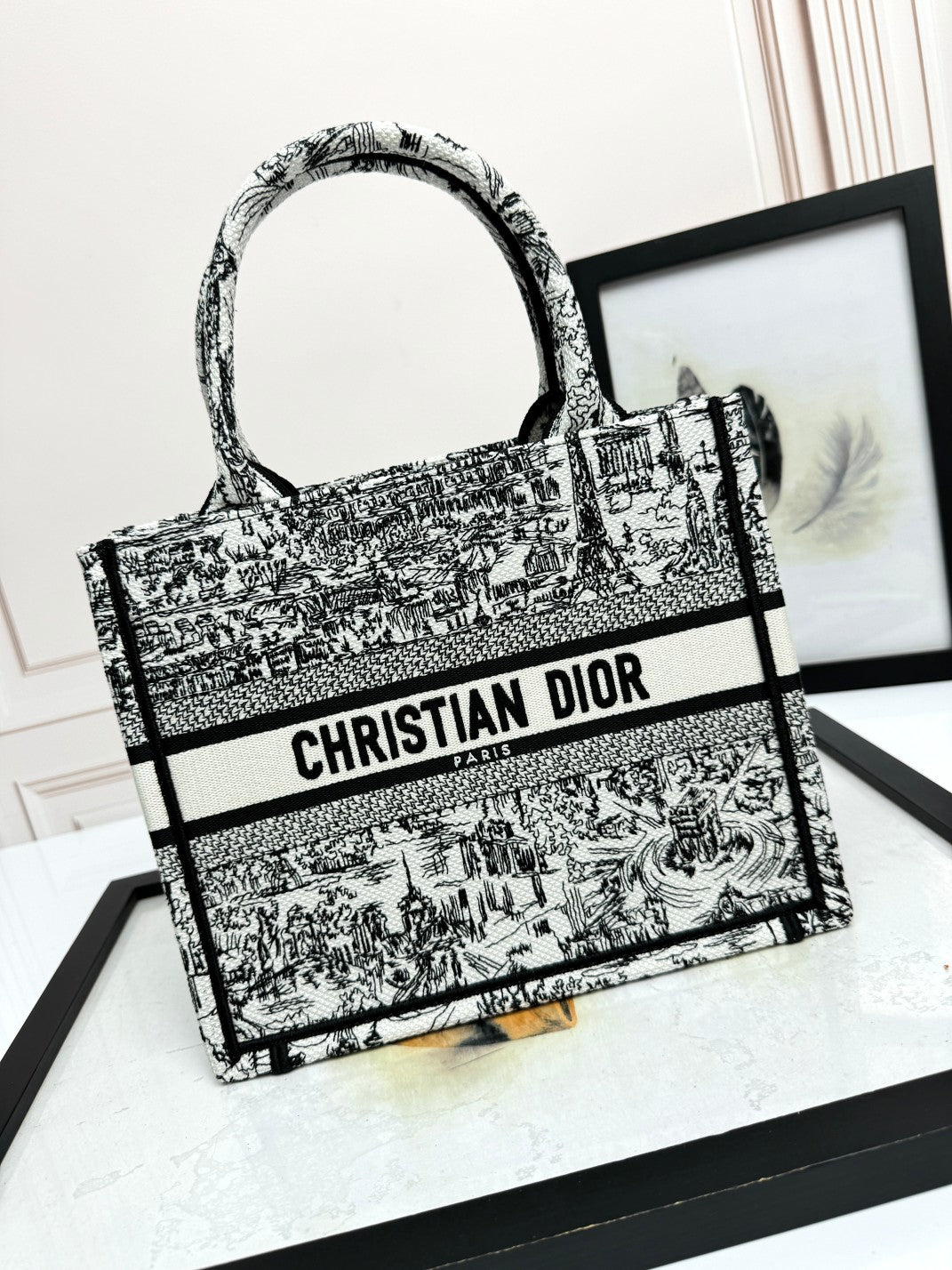 Christian Dior Medium Book Tote Black and White Toile de Jouy Embroidery