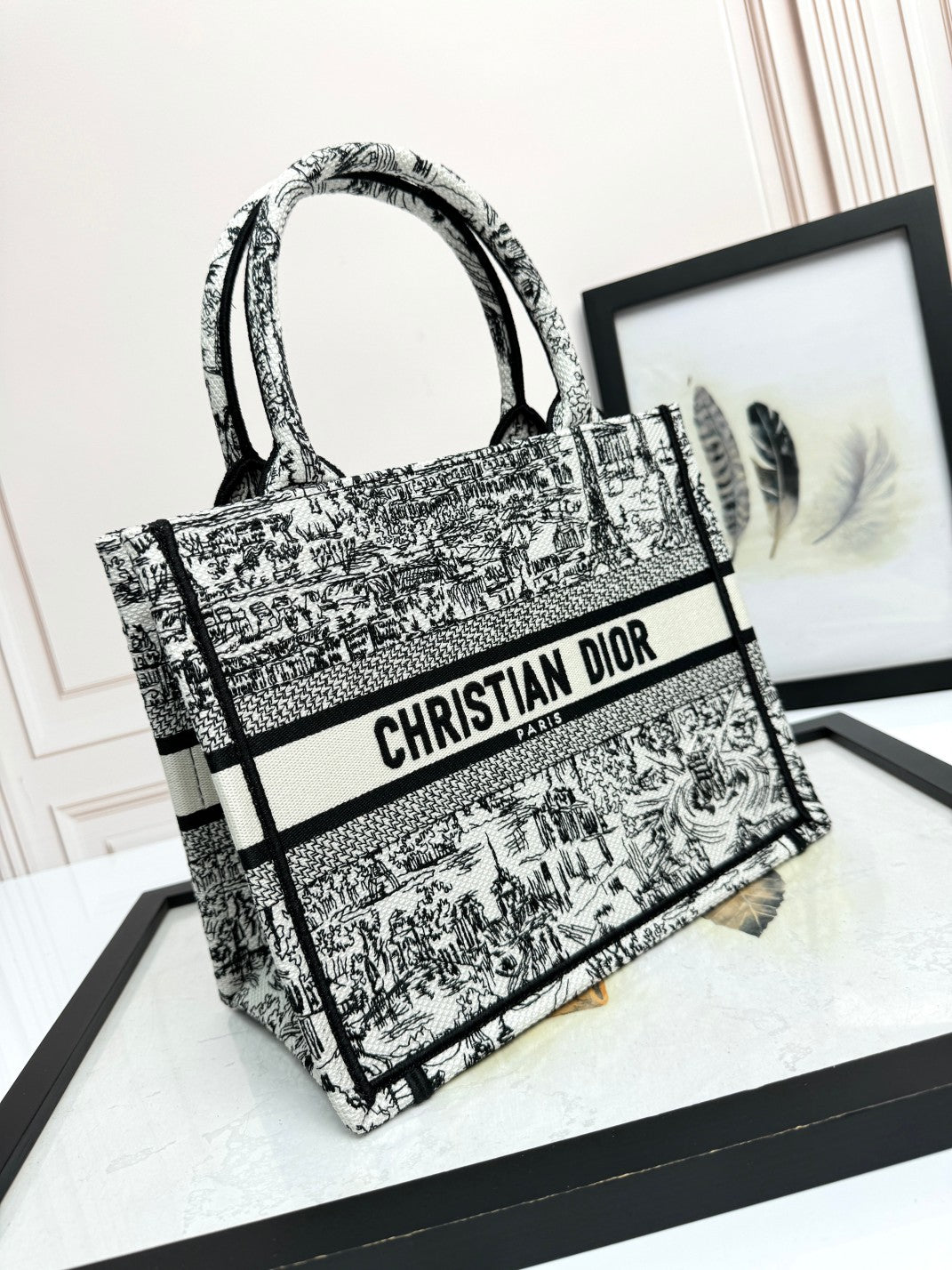 Christian Dior Book Tote - Black and White Embroidered Toile de Jouy Canvas