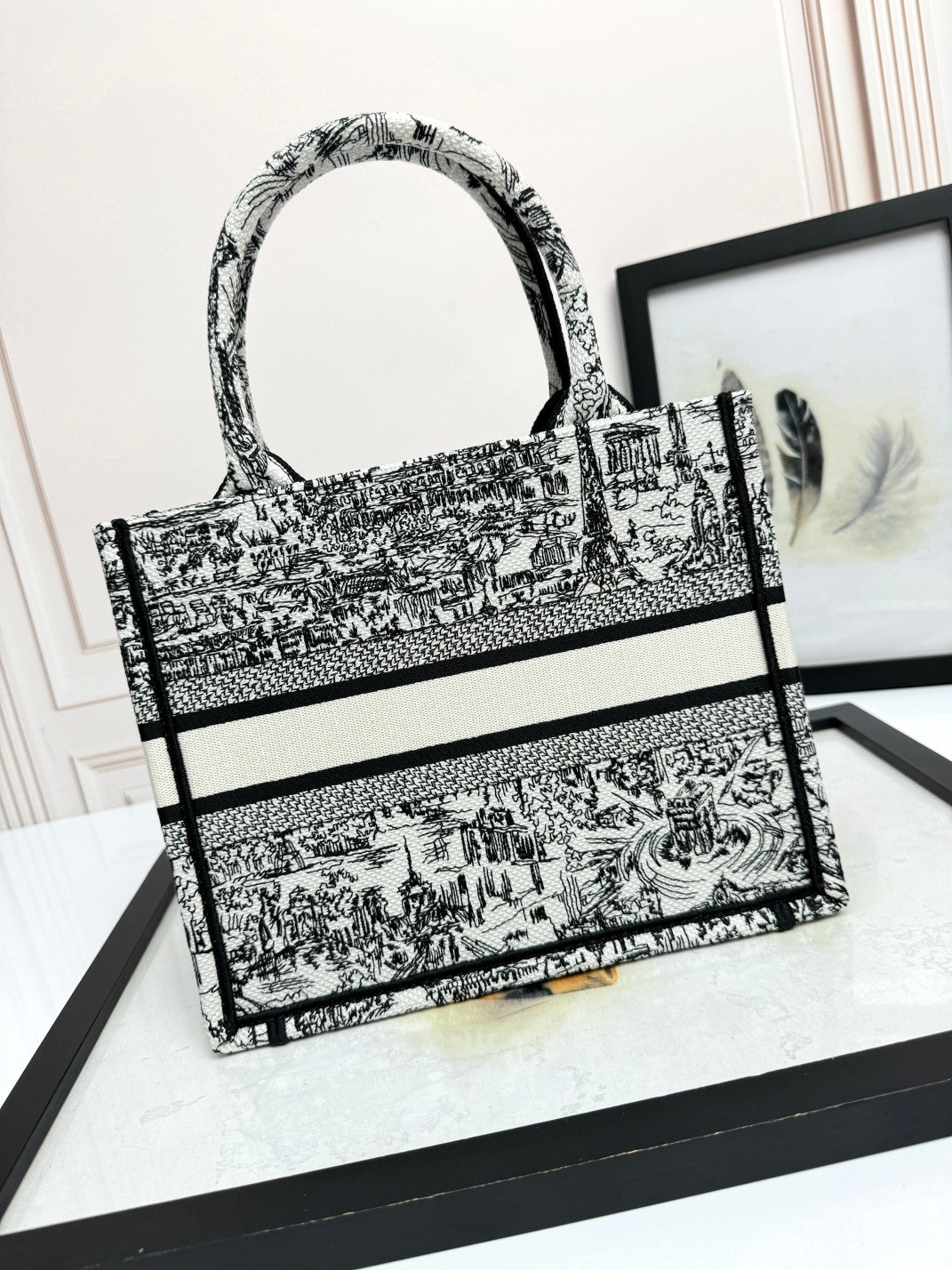 Christian Dior Medium Book Tote Black and White Toile de Jouy Embroidery