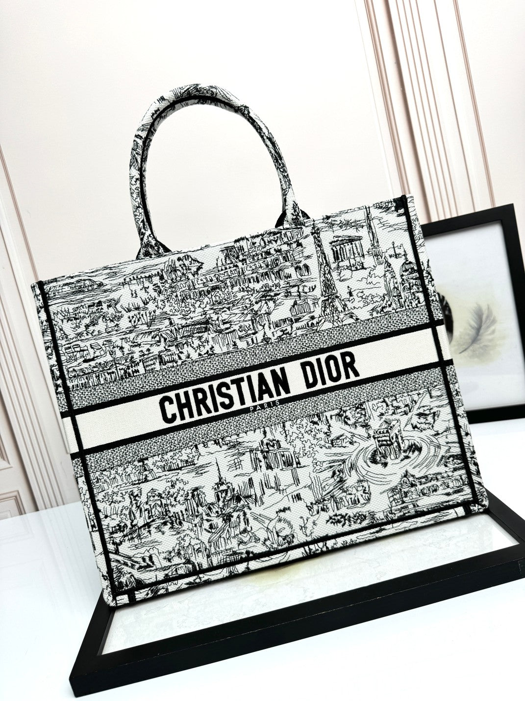 Christian Dior Large Book Tote Plan de Paris White and Black Embroidery