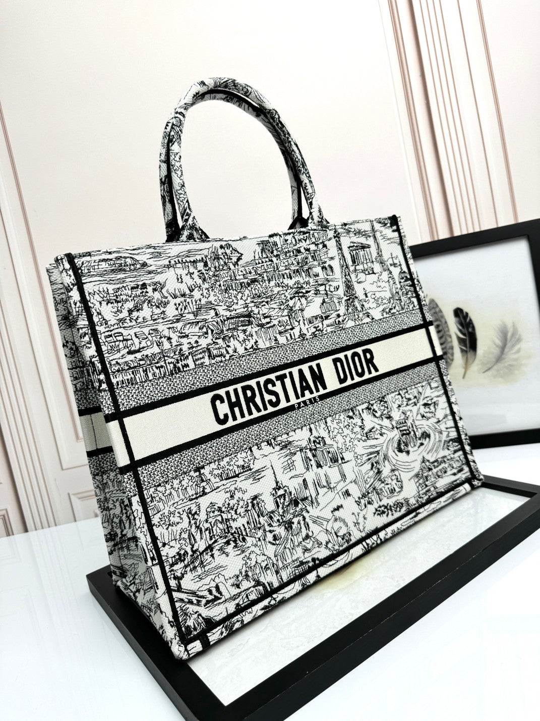 Christian Dior Large Book Tote Plan de Paris White and Black Embroidery
