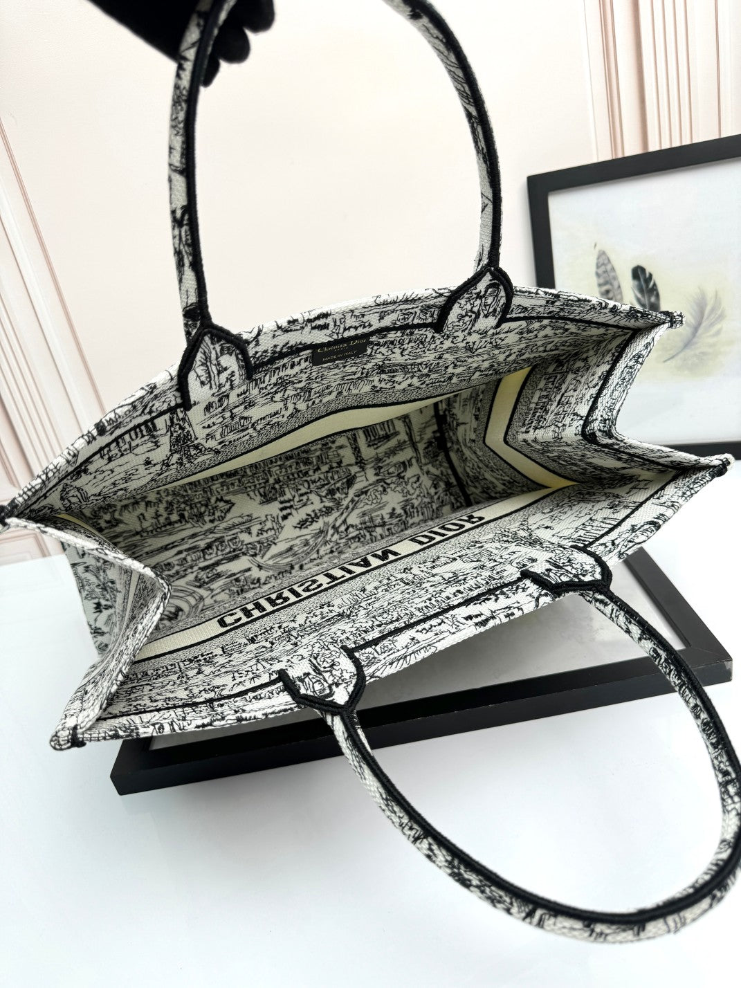 Christian Dior Large Book Tote Plan de Paris Embroidery - White and Black