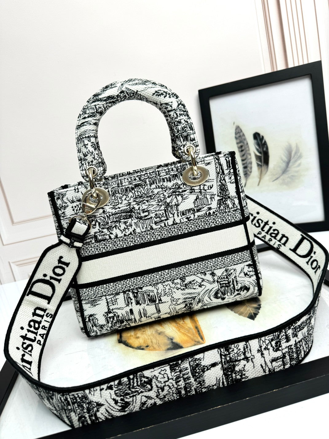 Christian Dior Medium Lady D-Lite Bag - Black & White Toile de Jouy Reverse Embroidery
