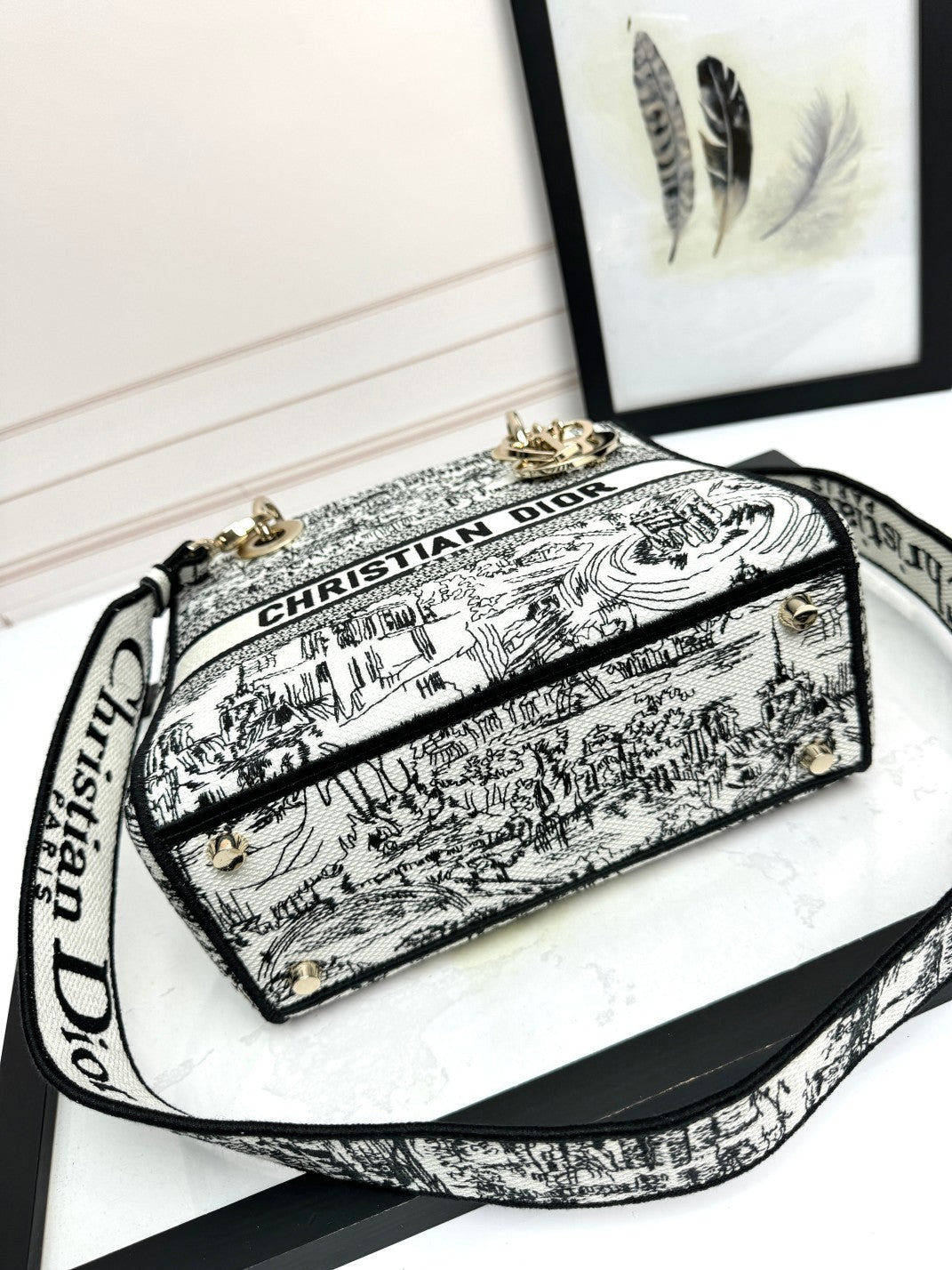 Christian Dior Lady D-Lite Bag Toile de Jouy Embroidery Handbag - White & Black