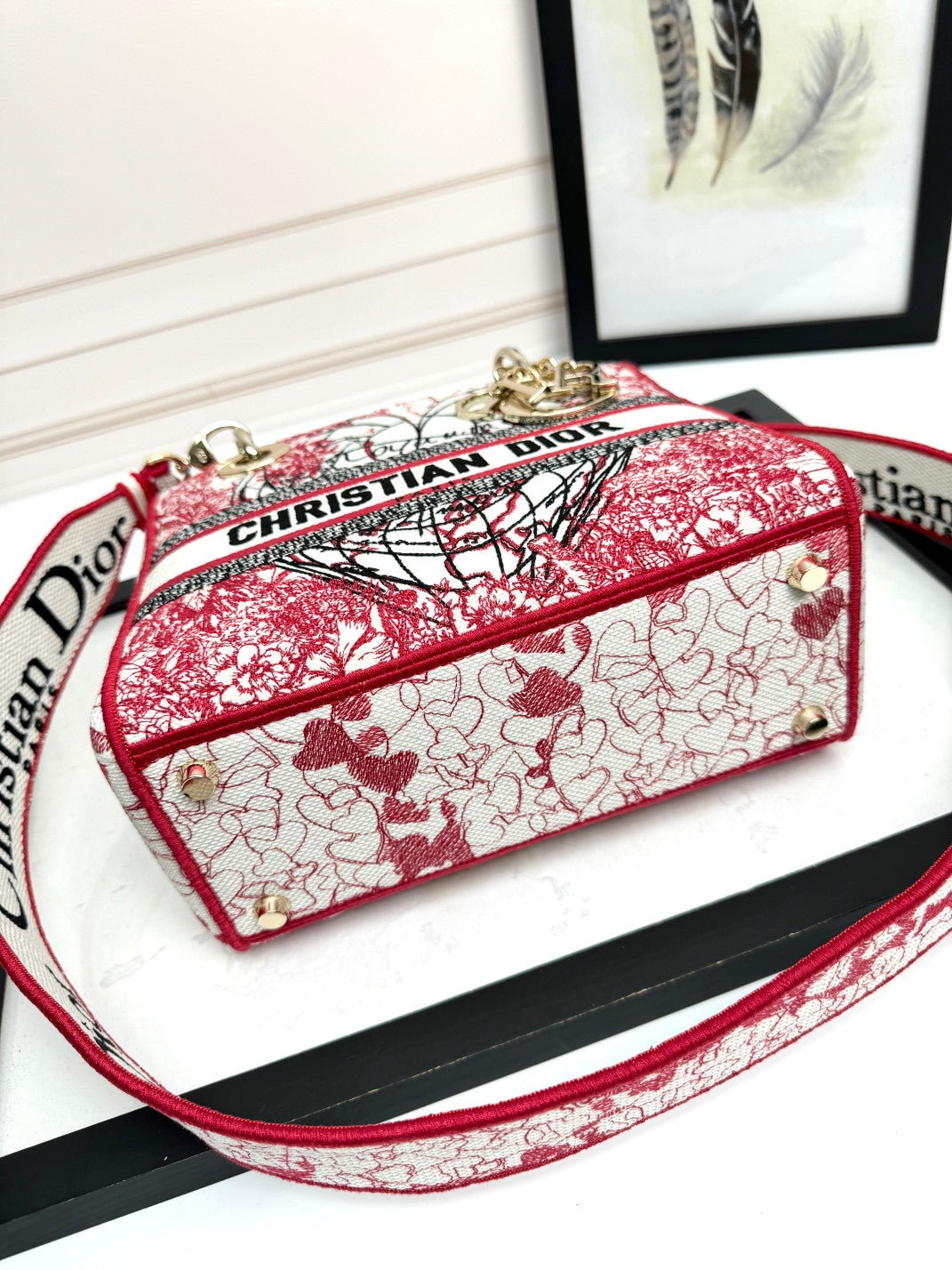 Christian Dior Medium Lady Dior Bag - Red and White Toile de Jouy Embroidery