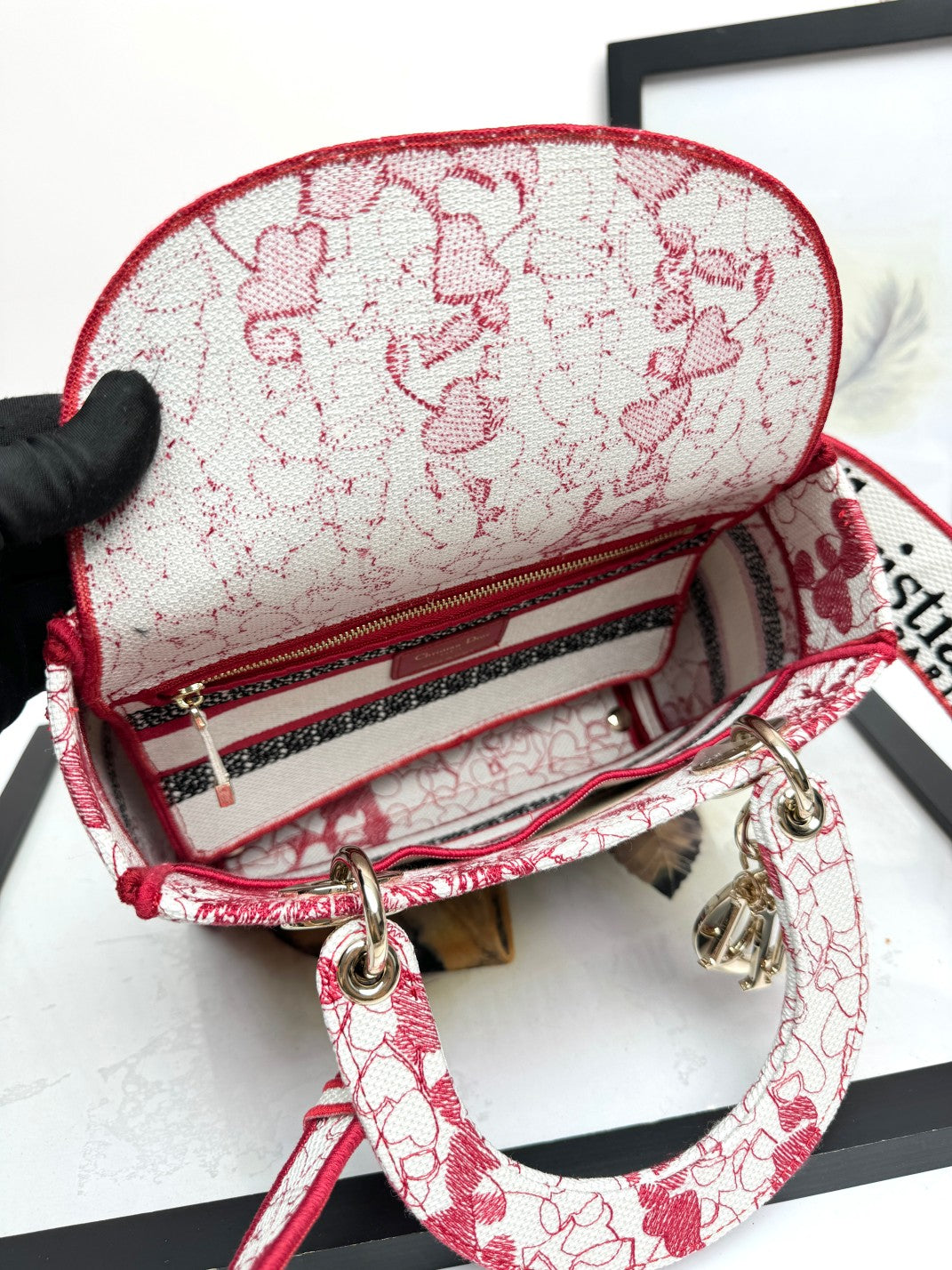 Christian Dior Lady D-Lite Medium Bag - Red and White Embroidered Toile de Jouy Canvas