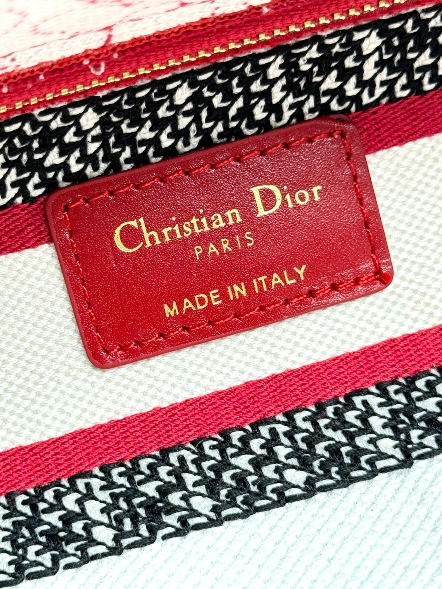 Christian Dior Medium Lady Dior Bag - Red and White Toile de Jouy Embroidery