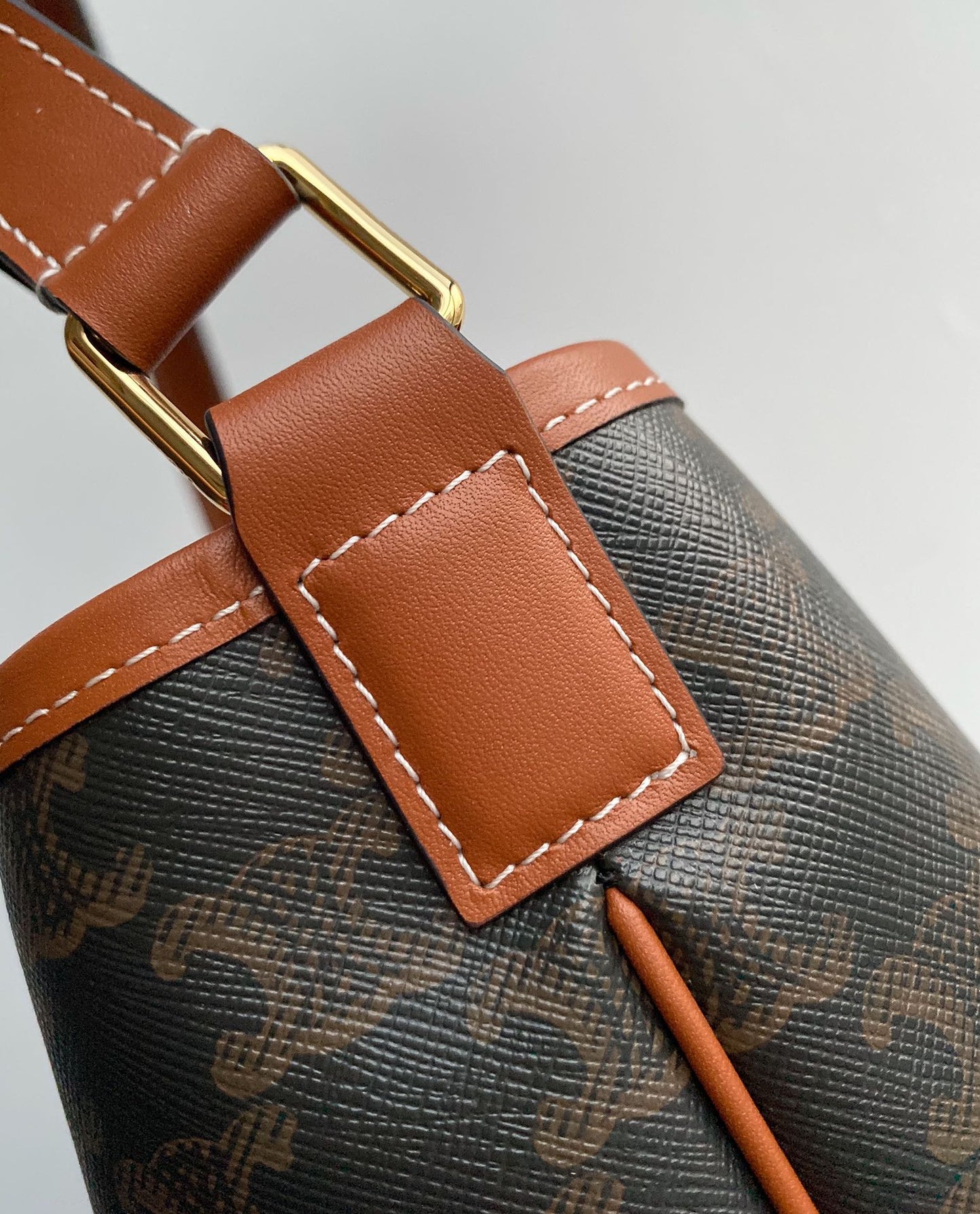 Women's Triomphe Canvas Small Bucket Bag in Tan and Brown Monogram