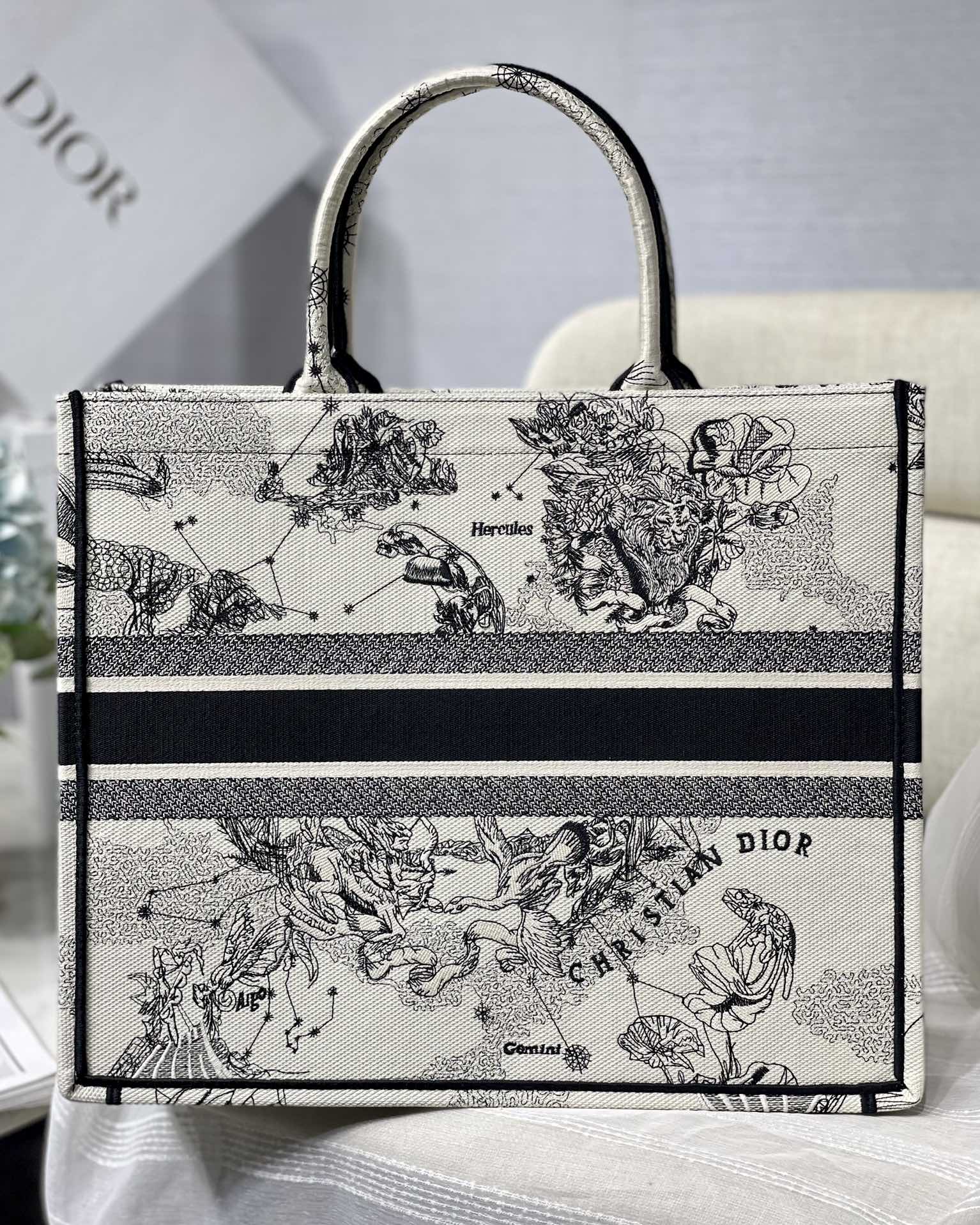Christian Dior Book Tote Blue and White Zodiac Embroidered Canvas Bag