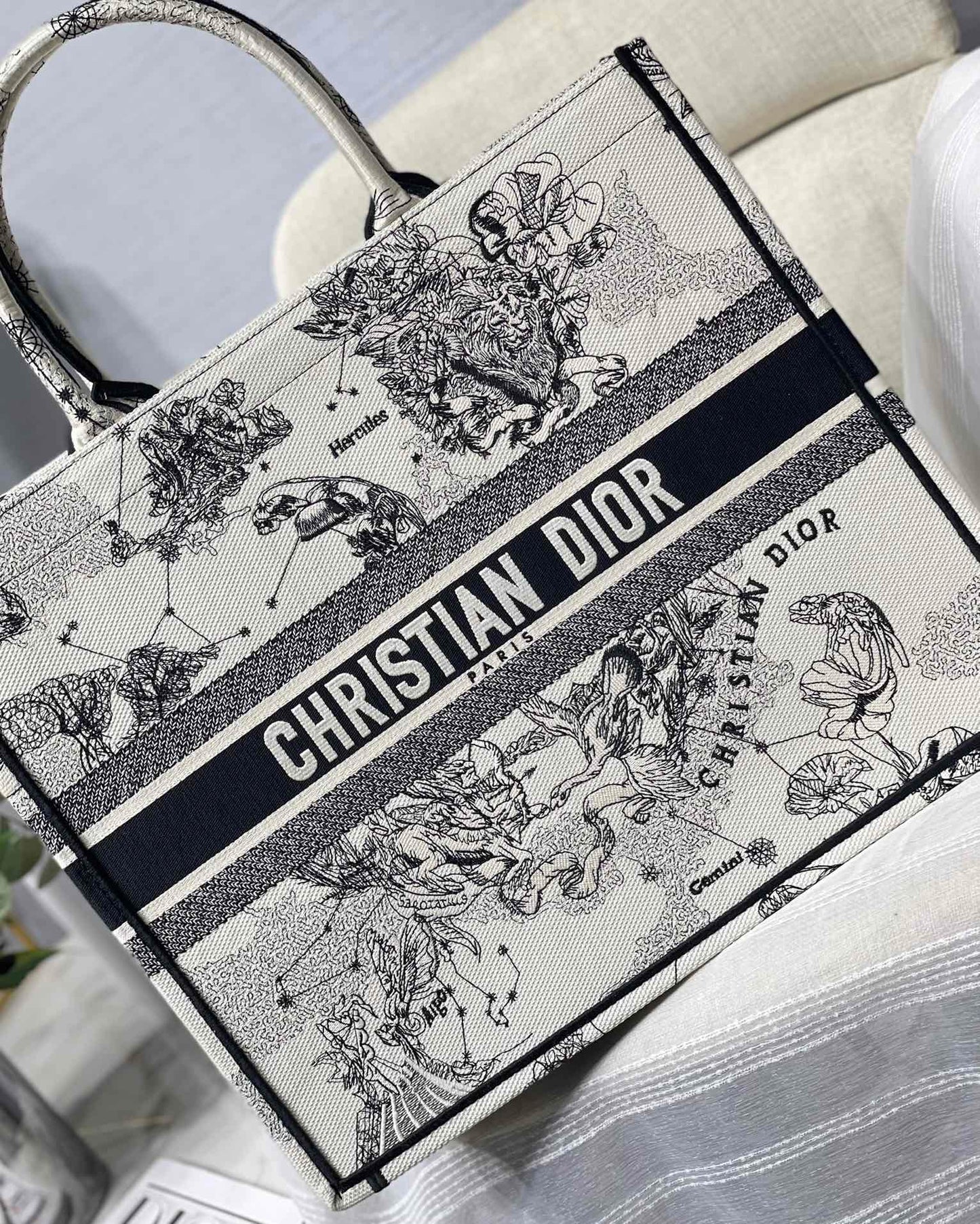 Christian Dior Book Tote Blue and White Zodiac Embroidered Canvas Bag