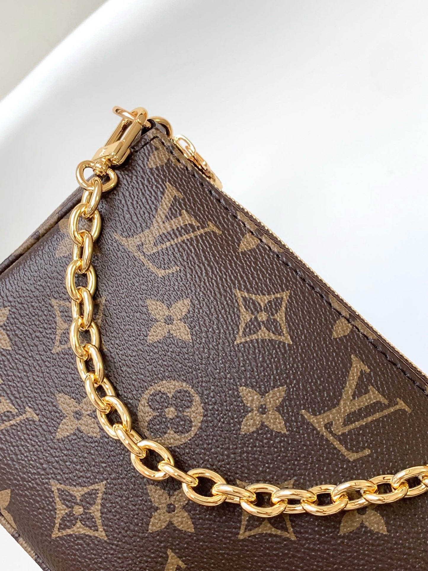 Louis Vuitton Monogram Pochette Accessoires Brown Canvas Bag