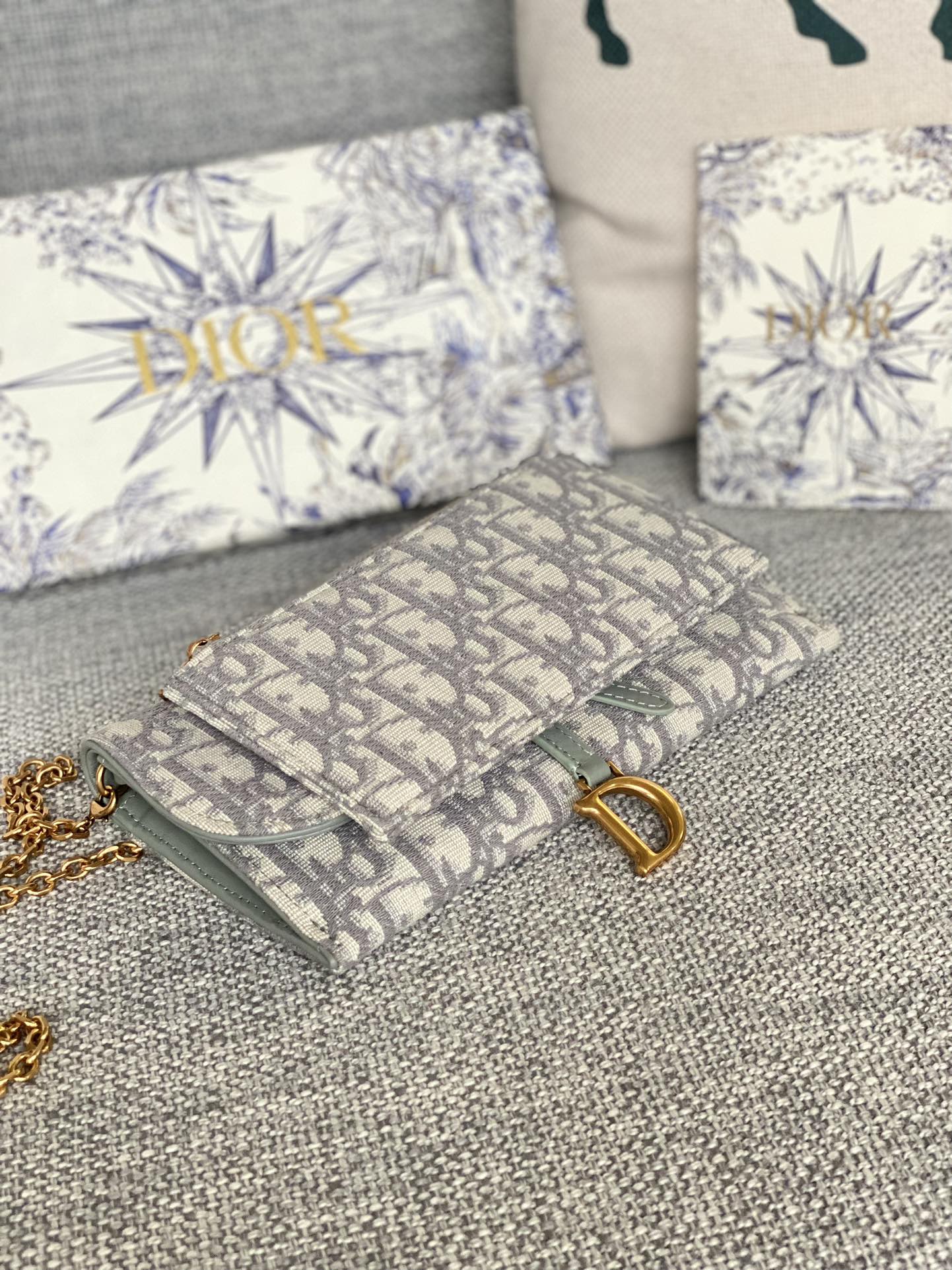 Luxury Oblique Monogram Pouch on Chain with Celestial Gift Bag Set - Blue and White