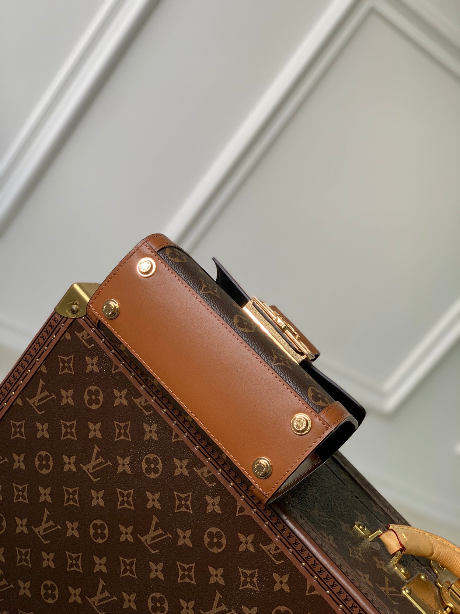 Louis Vuitton Dauphine MM Monogram &amp; Monogram Reverse Canvas Bag