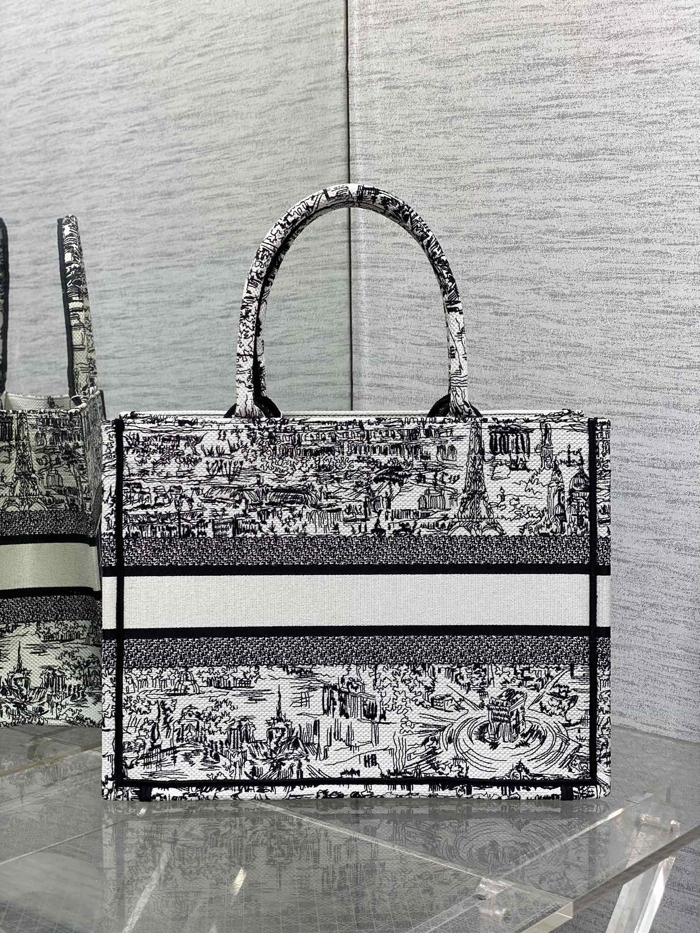Christian Dior Medium Book Tote Bag - White and Black Plan de Paris Embroidery