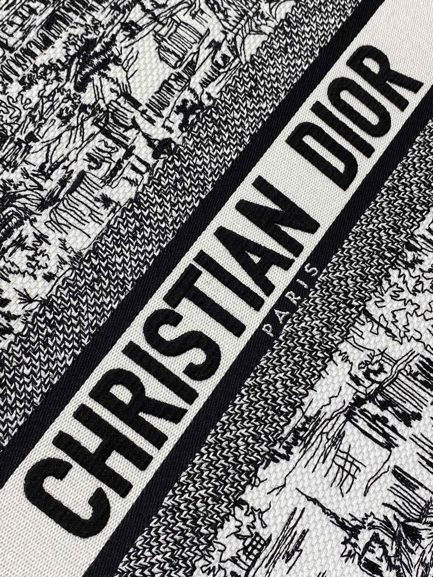 Christian Dior Large Book Tote Bag Plan de Paris Embroidery - Black and White
