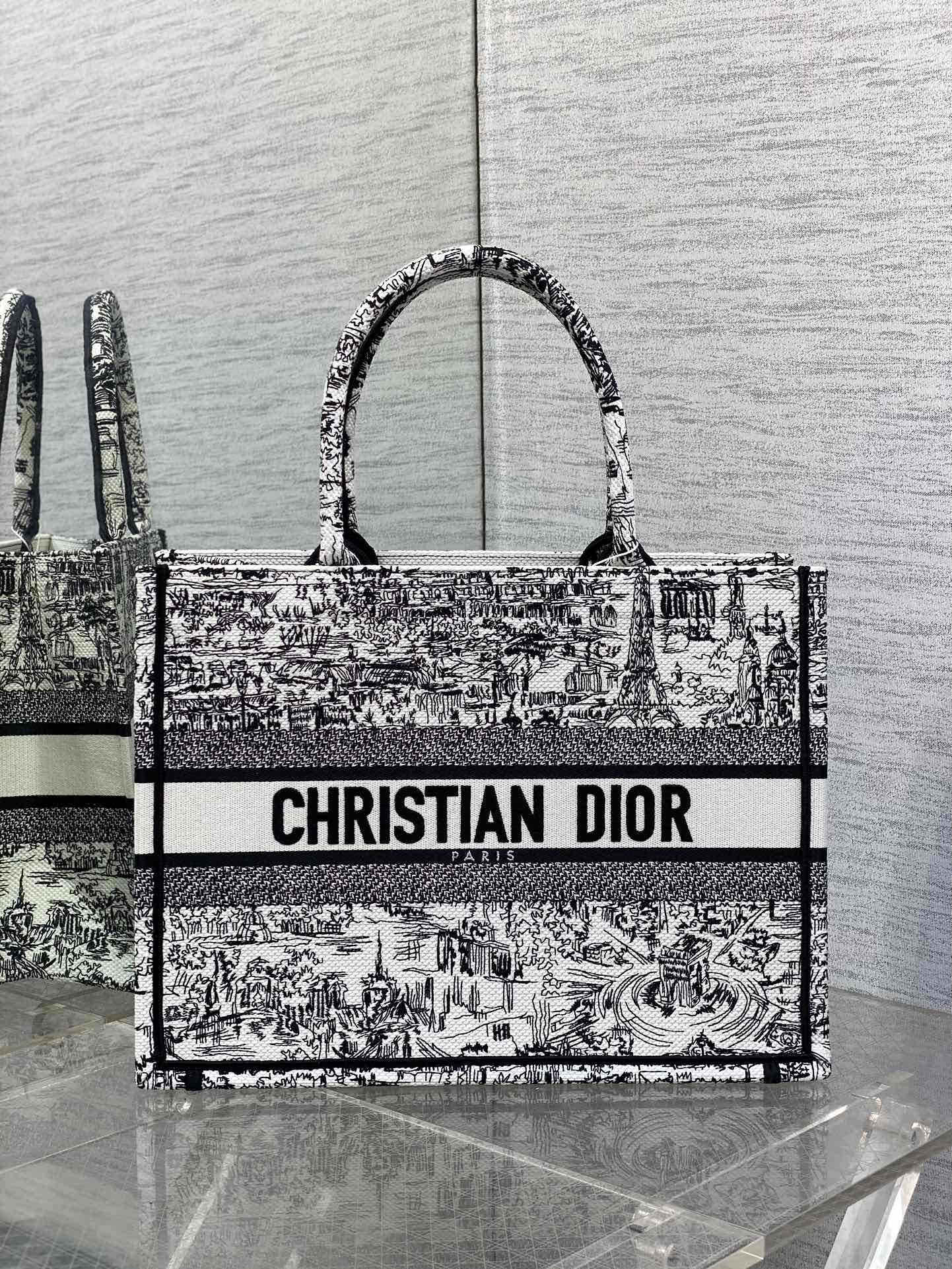 Christian Dior Book Tote Medium Plan de Paris Embroidery Canvas Bag