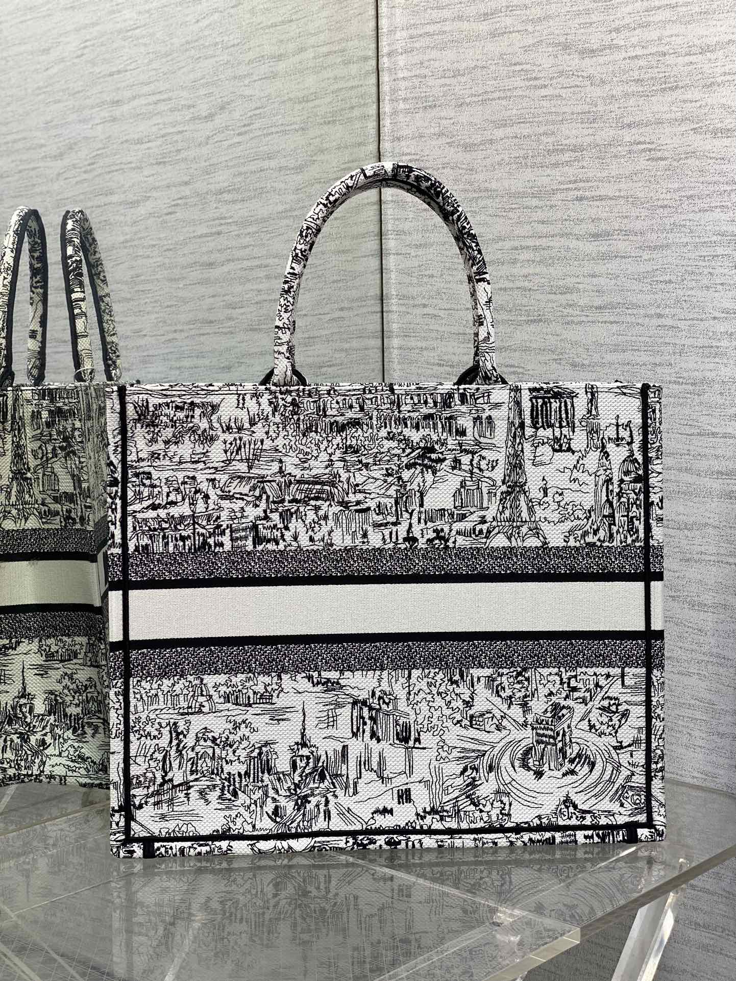 Christian Dior Book Tote Black and White Landscape Embroidery Handbag