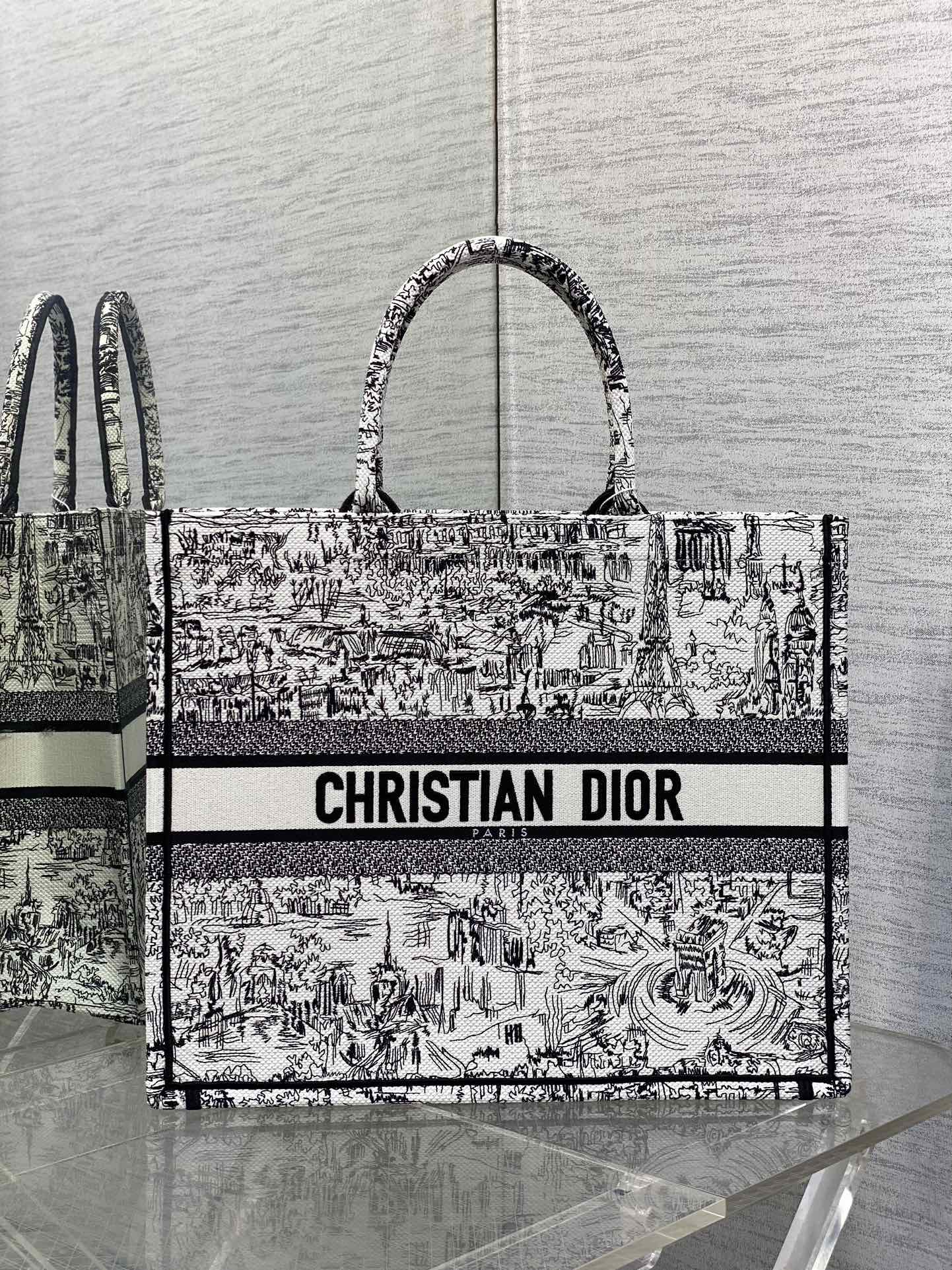 Christian Dior Plan de Paris Large Book Tote - Black and White Embroidered Canvas