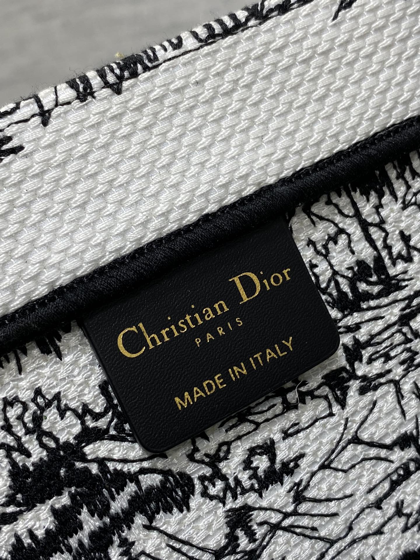 Christian Dior Plan de Paris Large Book Tote - Black and White Embroidered Canvas