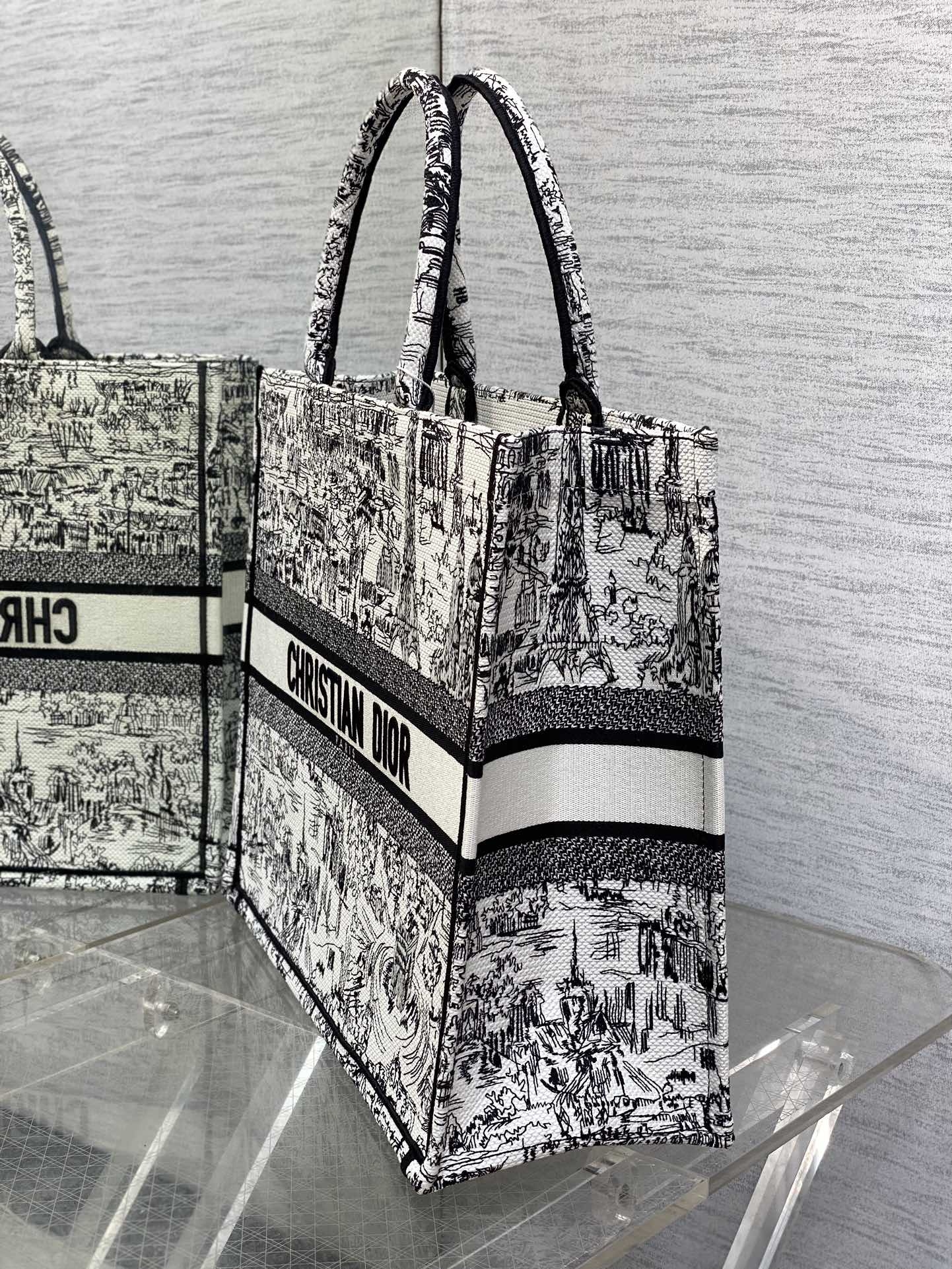 Christian Dior Book Tote Black and White Landscape Embroidery Handbag