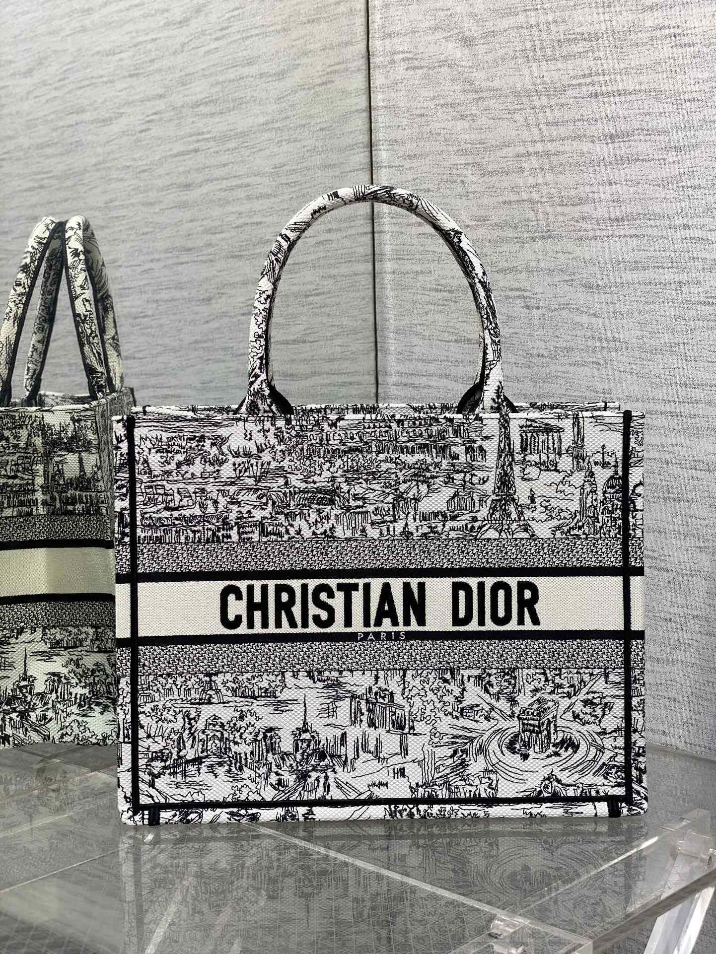 Christian Dior Medium Book Tote Plan de Paris Embroidery