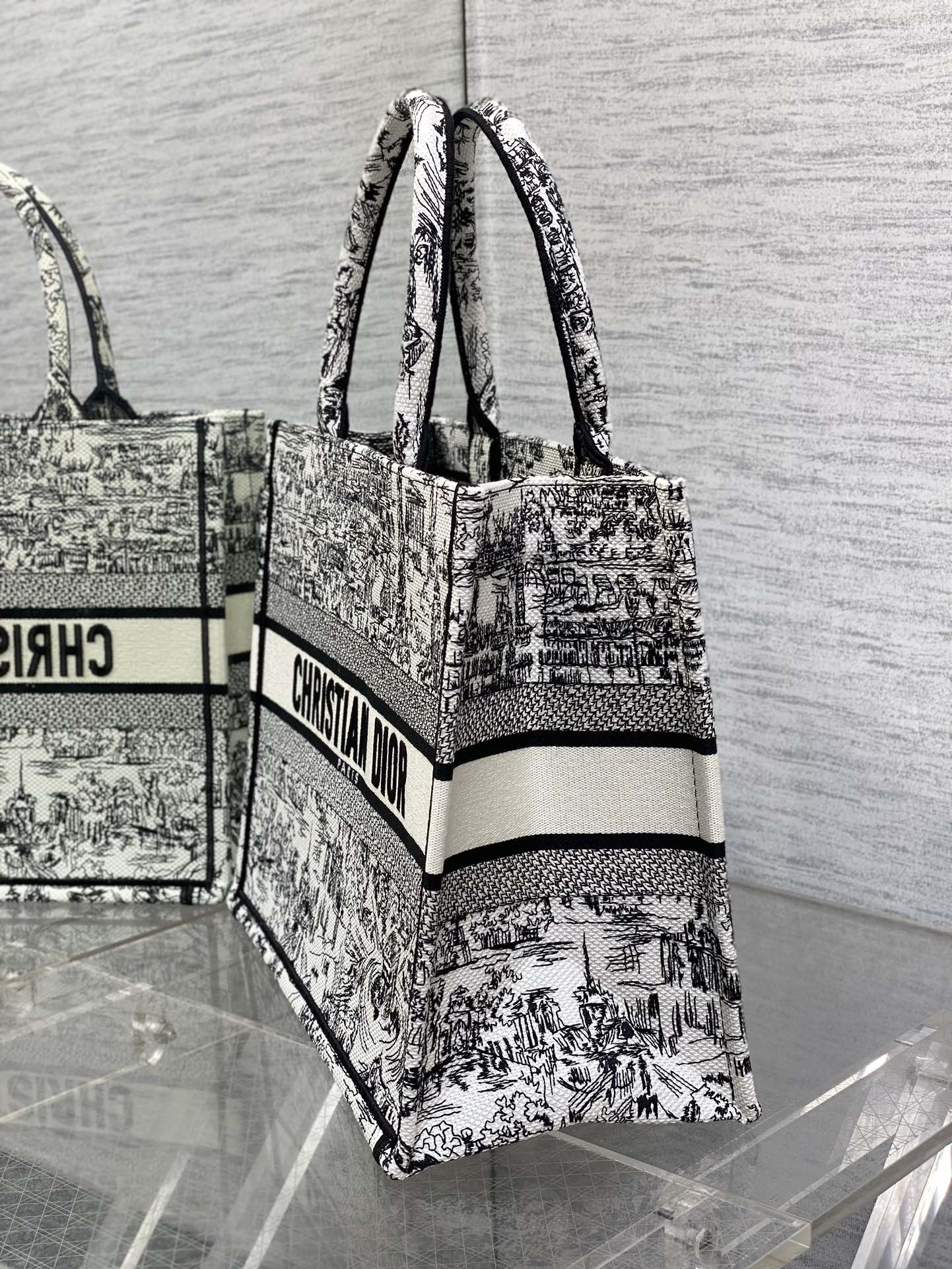 Christian Dior Medium Book Tote Plan de Paris Embroidery