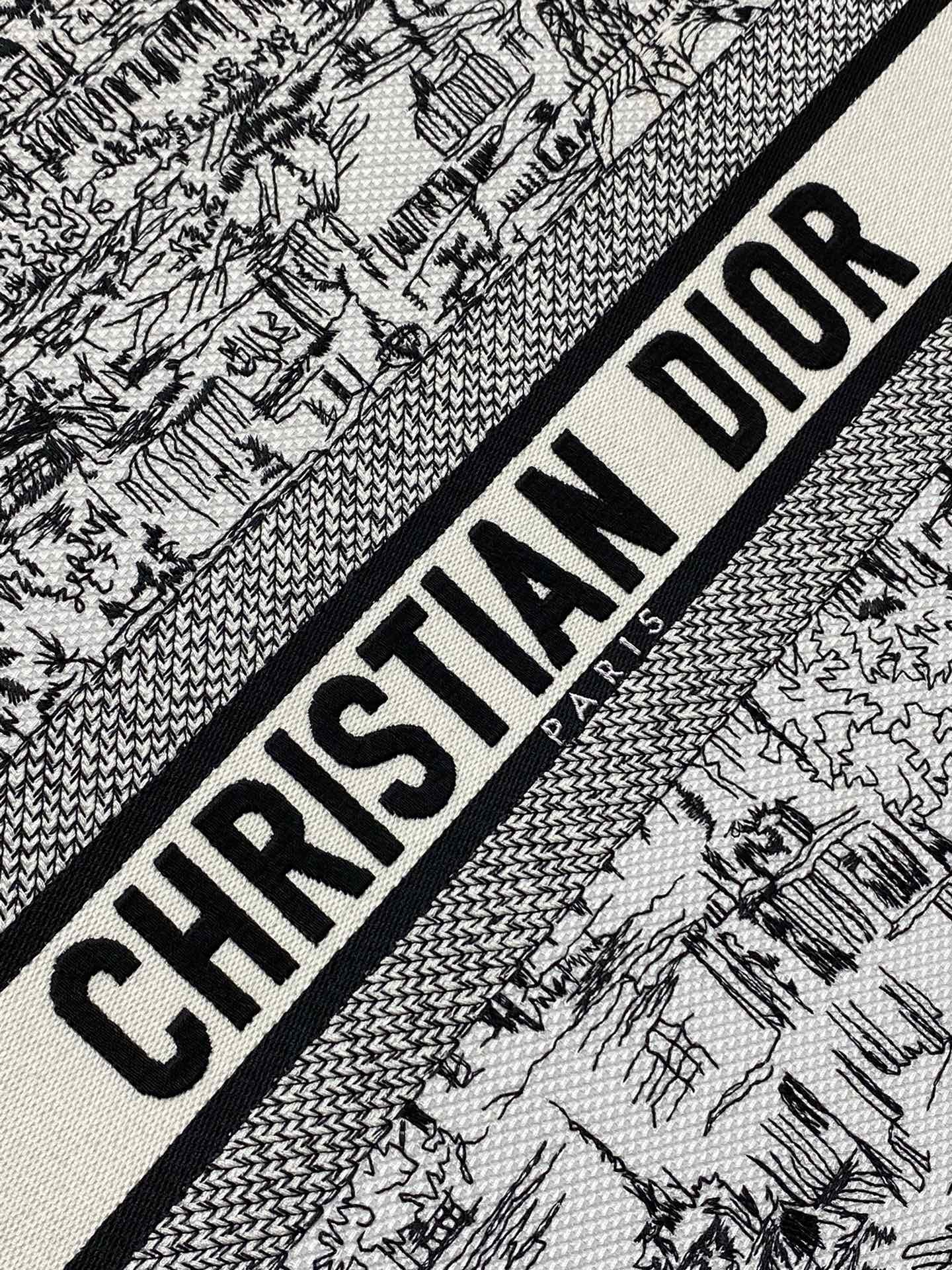 Christian Dior Large Book Tote Bag - White and Black Plan de Paris Embroidery