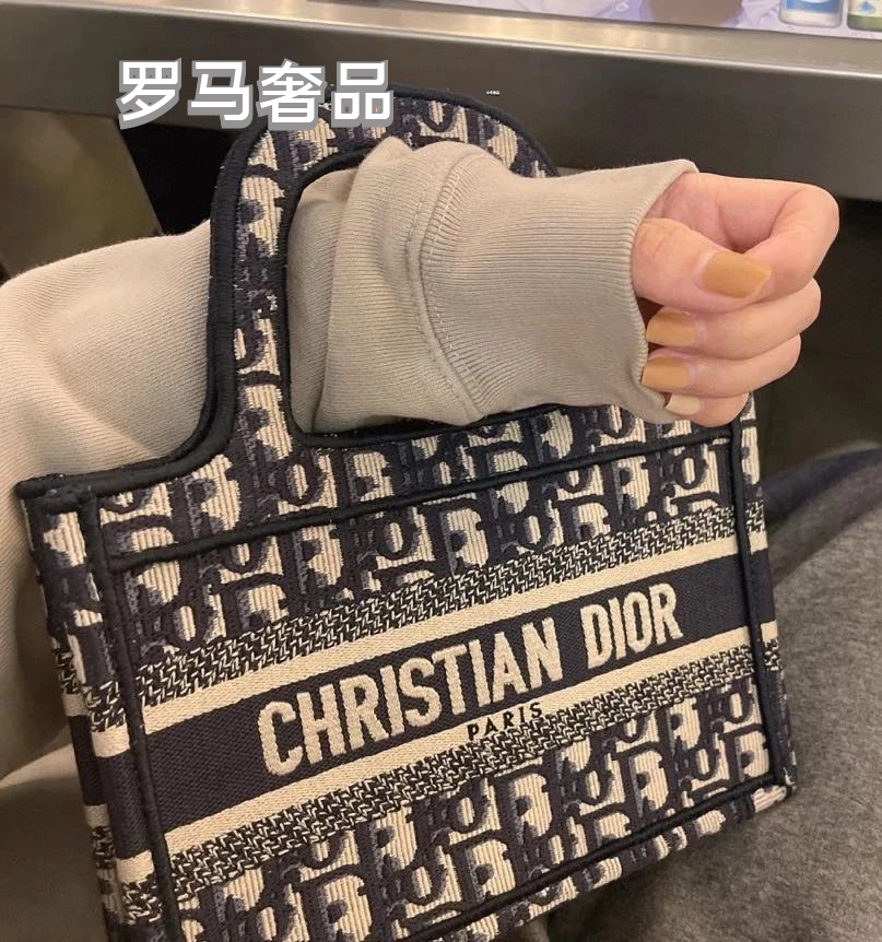 Christian Dior Blue Dior Oblique Embroidery Mini Book Tote