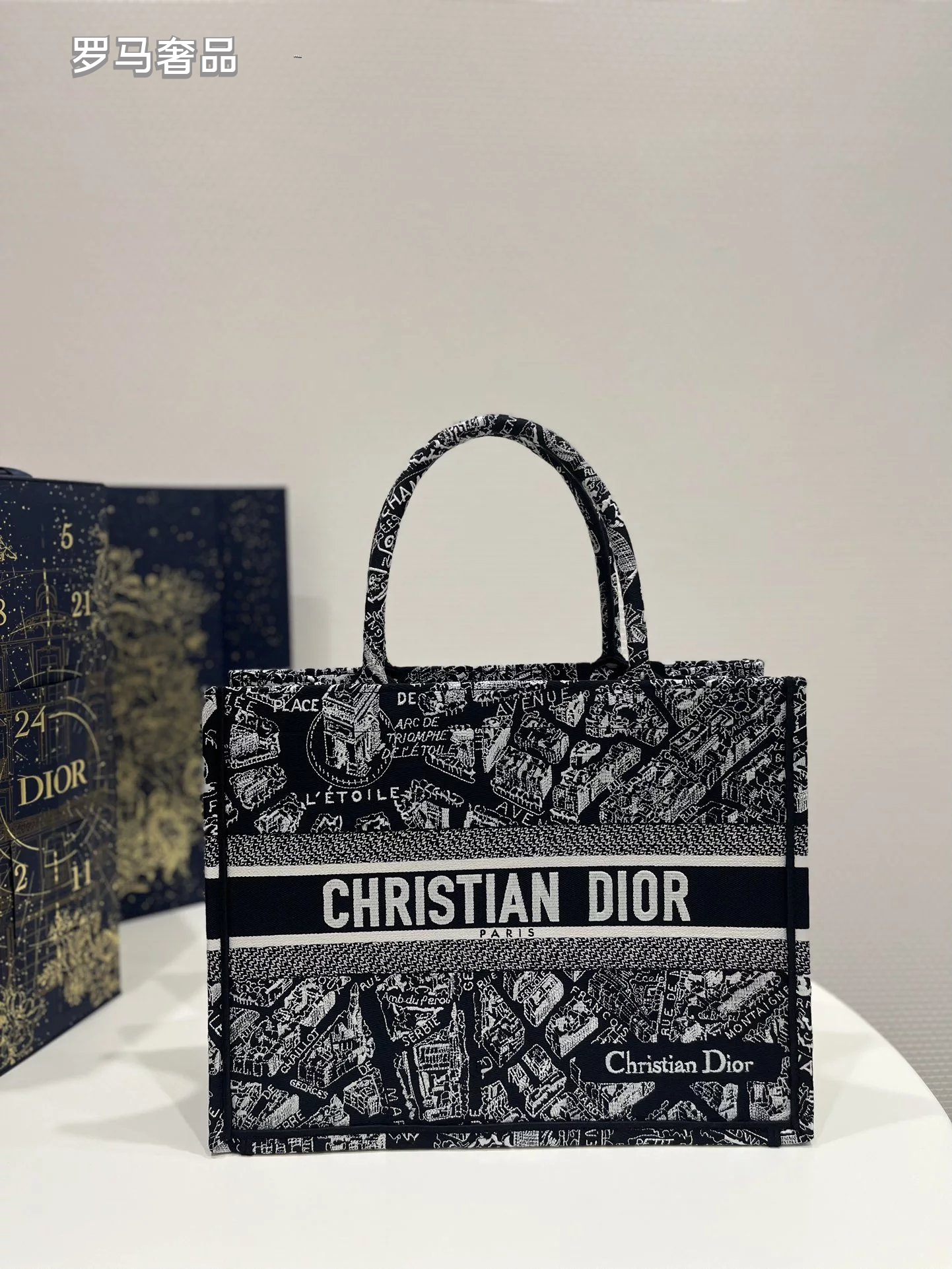 Christian Dior Plan de Paris Book Tote Bag - Black and White Embroidered Canvas