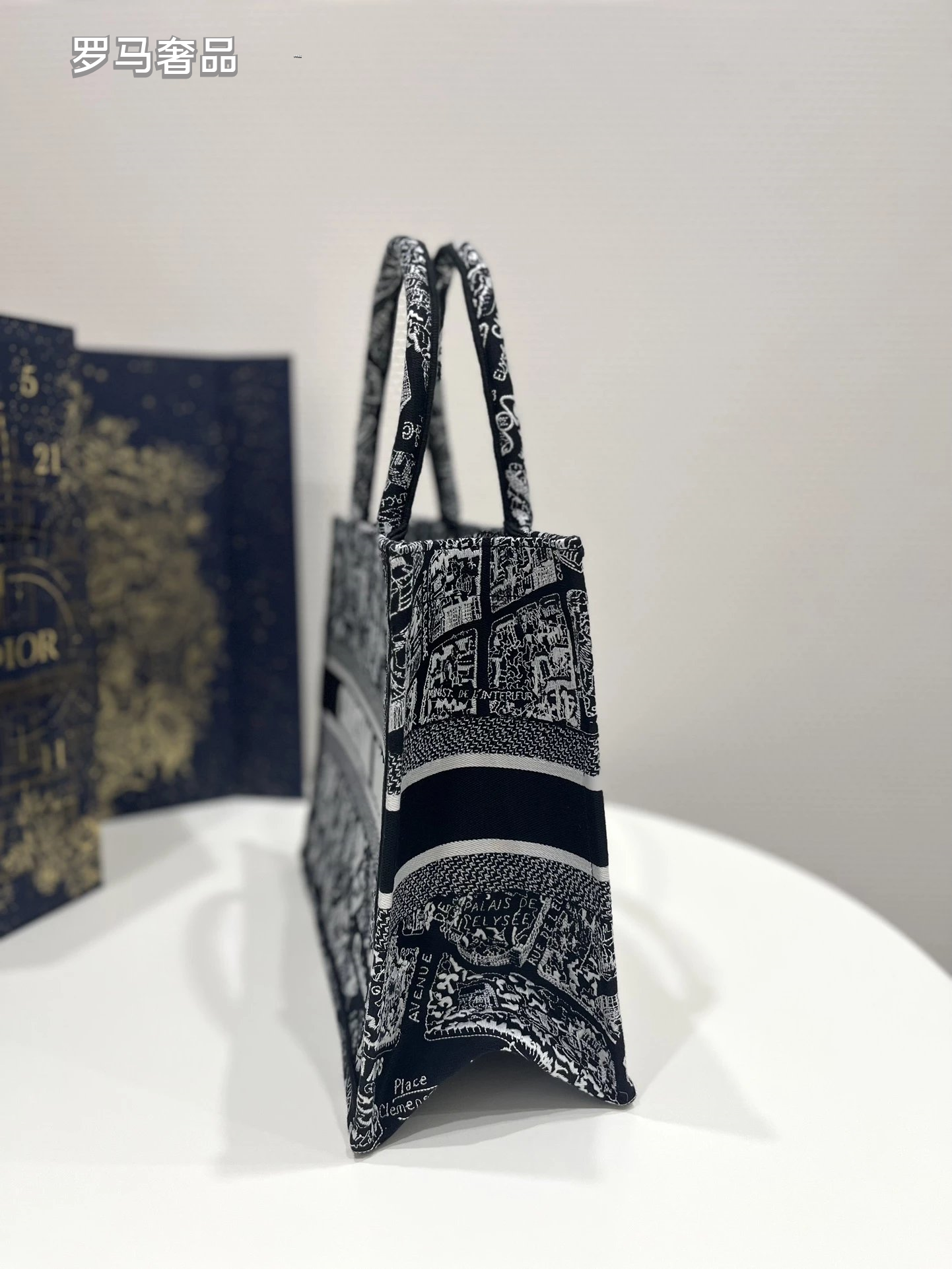 Christian Dior Plan de Paris Book Tote Bag - Black and White Embroidered Canvas