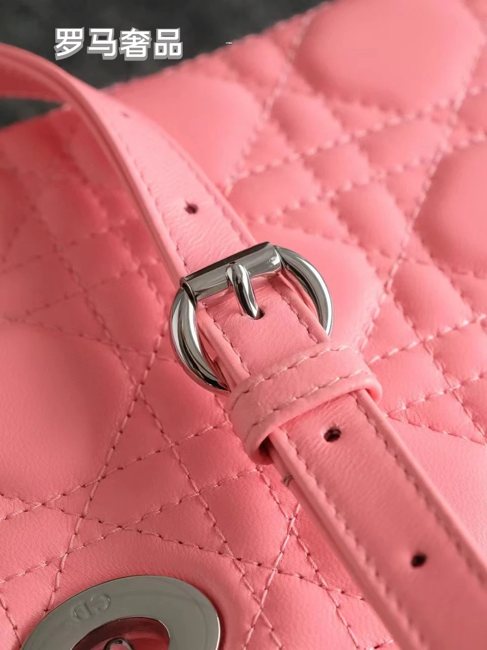 Mini Lady Dior Bag in Pink Cannage Lambskin with Silver-Tone Charms