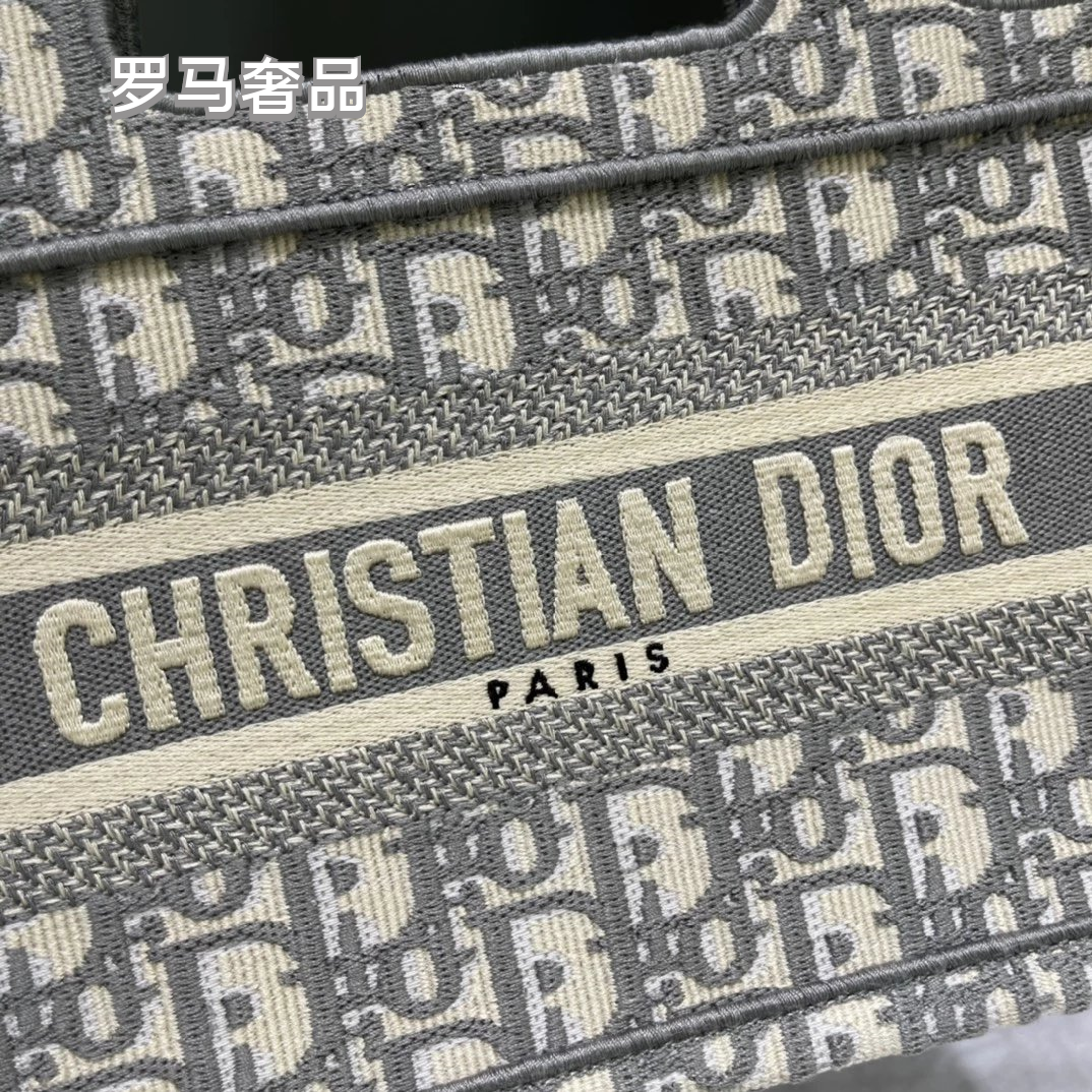 Christian Dior Blue Dior Oblique Embroidery Mini Book Tote