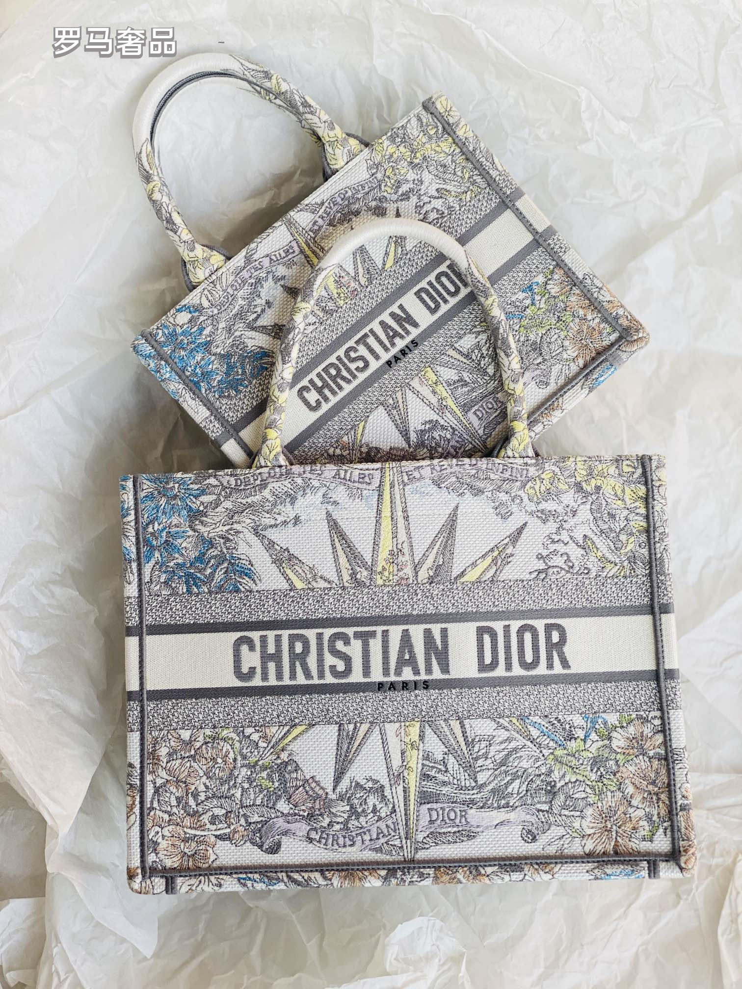 Christian Dior Medium Book Tote - White and Multicolor Constellation Embroidered Canvas